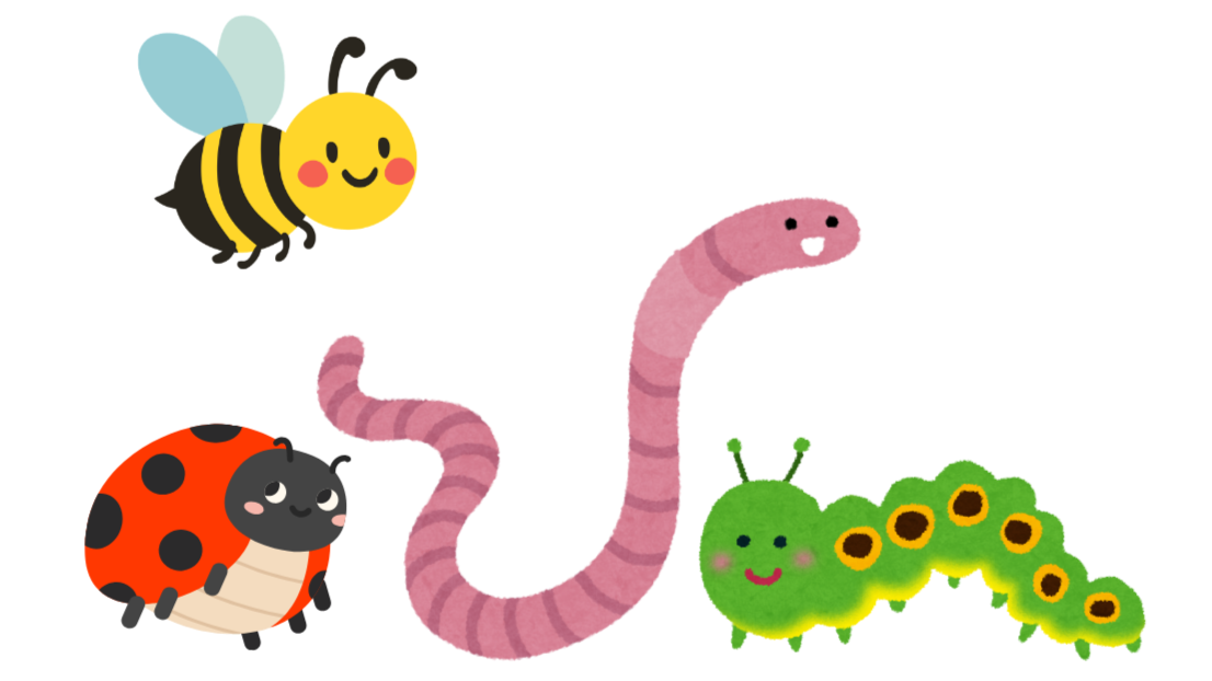 Cute cartoon of a bee, ladybug, worm, caterpillar, and caterpillar's head, all with smiling faces.