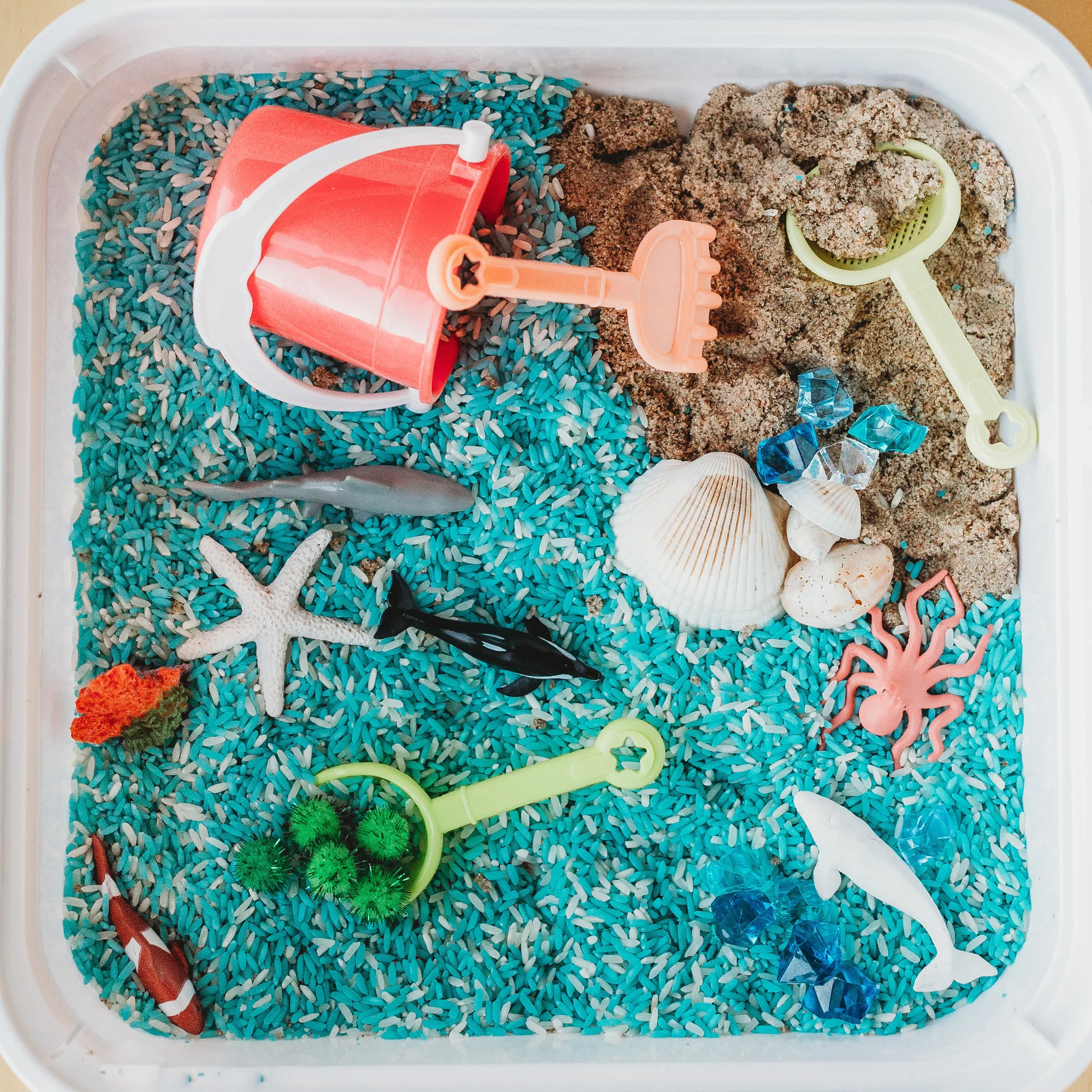 Top view of a plastic container with blue and white rice, toy kitchen tools including a red toy oven and a green slotted spoon, decorative seashells, rocks, and small plastic gems.