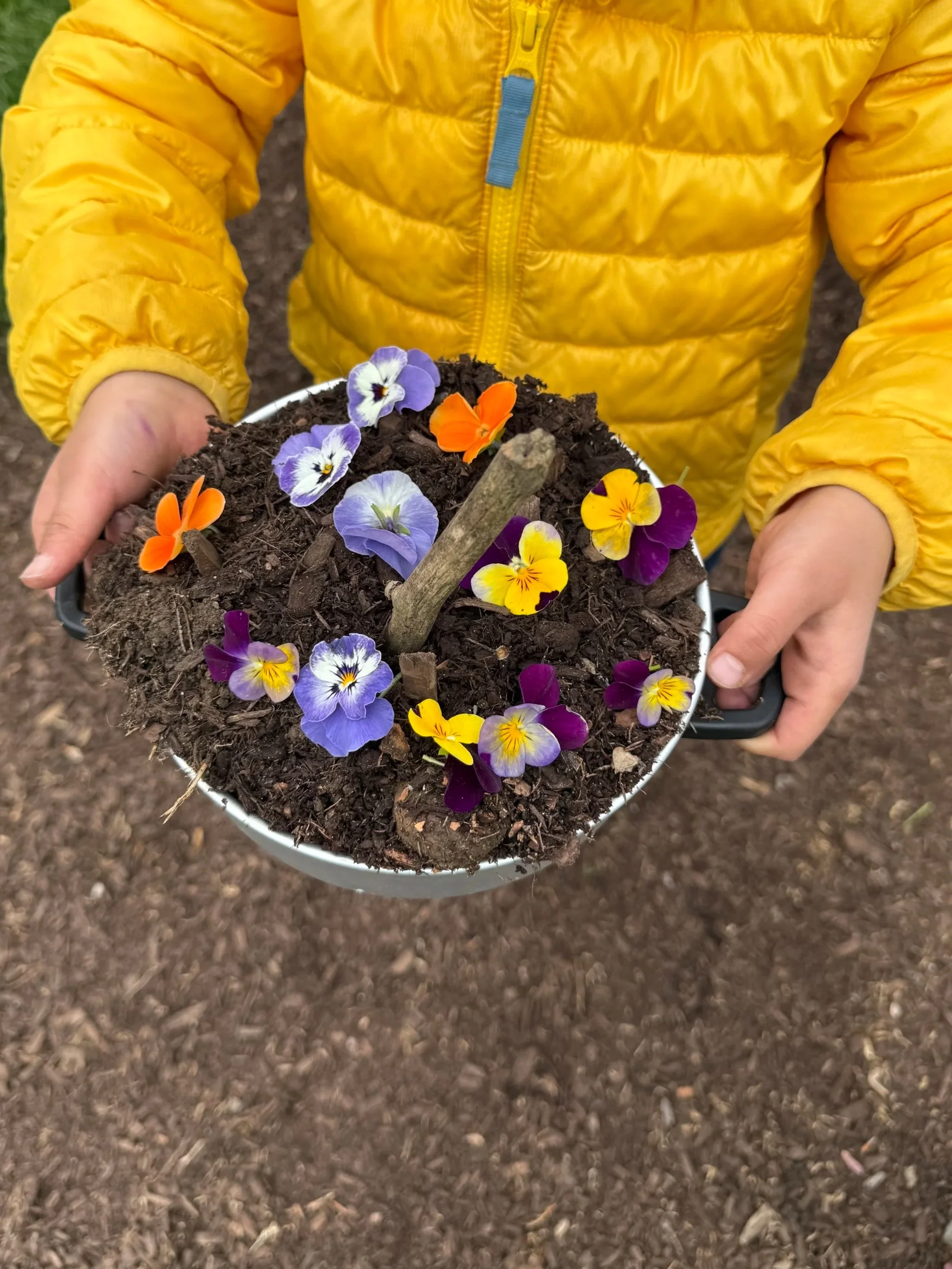 A child wearing a yellow jacket holds a pot of soil with colorful pansy flowers and a small wooden stick in it, standing on a dirt surface.
