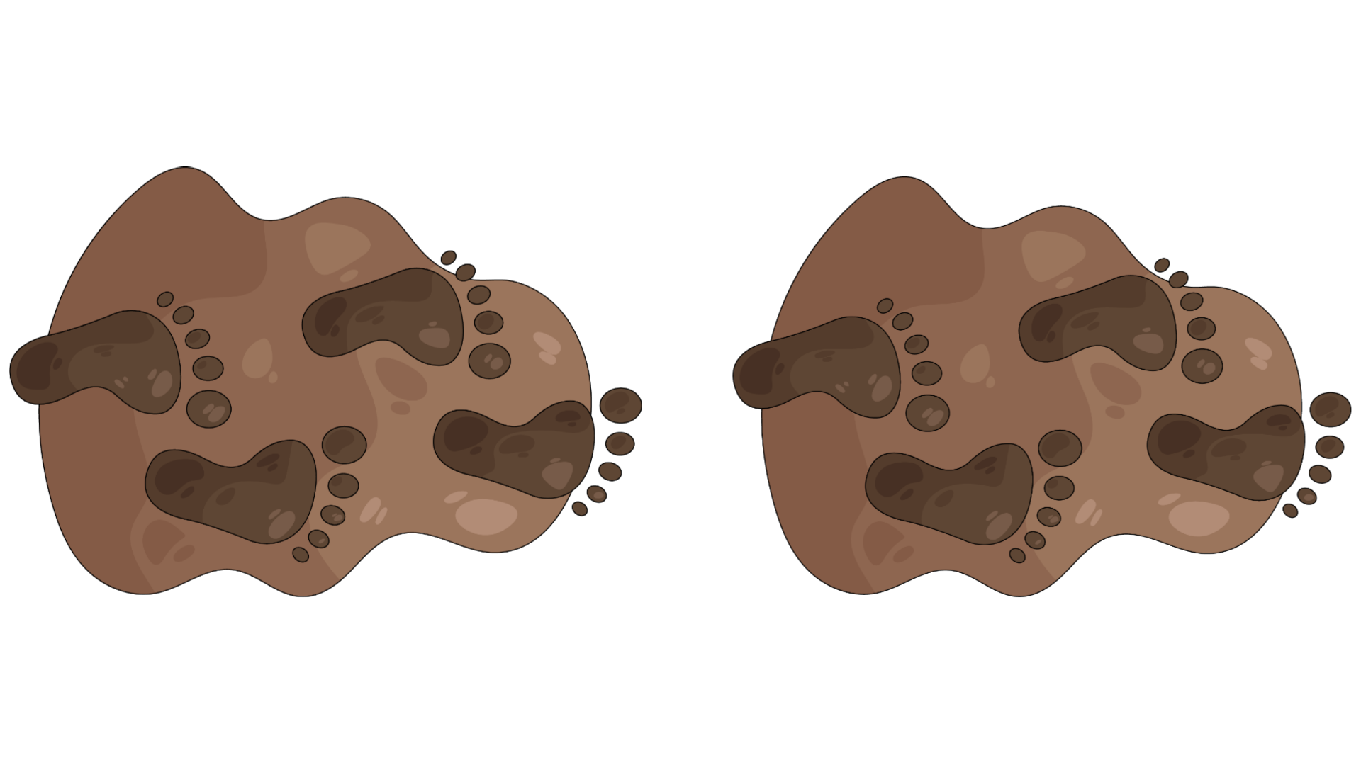 Comparison of two chocolate chip cookies, one with more chips and less baked, the other with fewer chips and more baked.