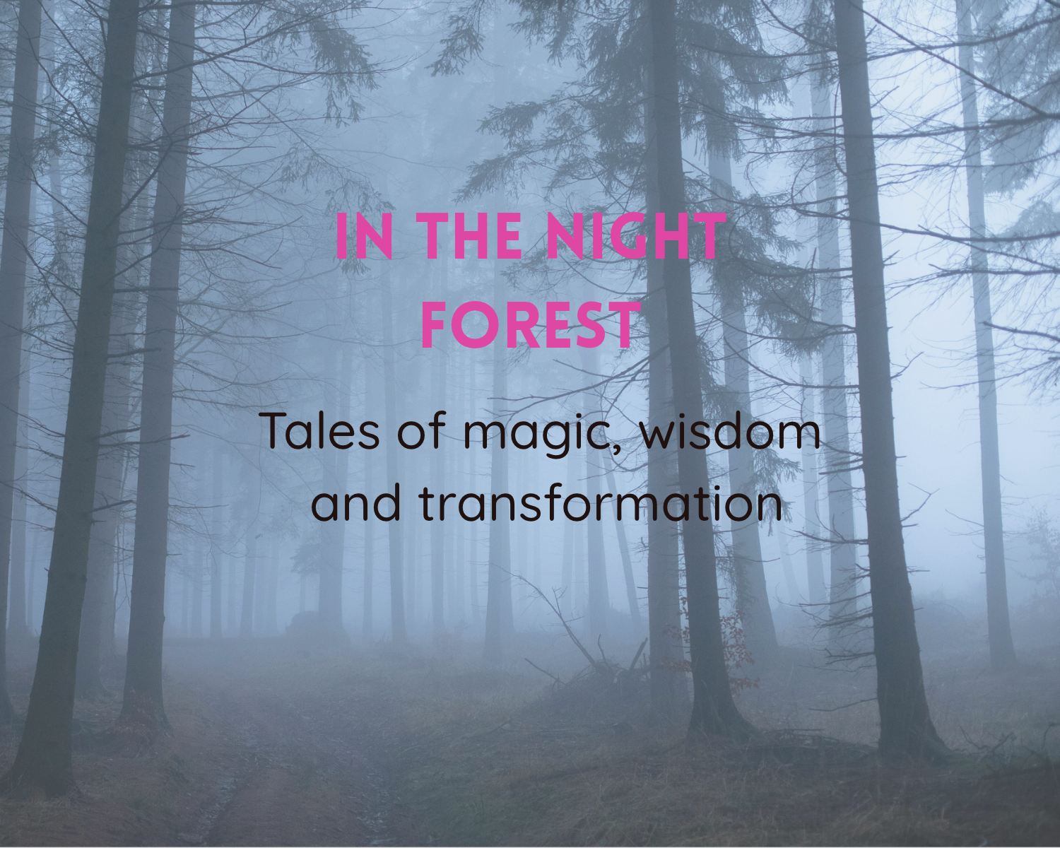 In the Night Forests: a storytelling evening