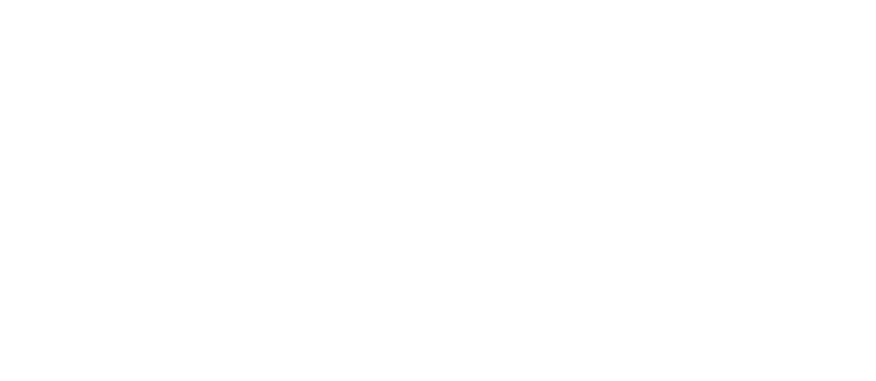 ACE Scholarships.png