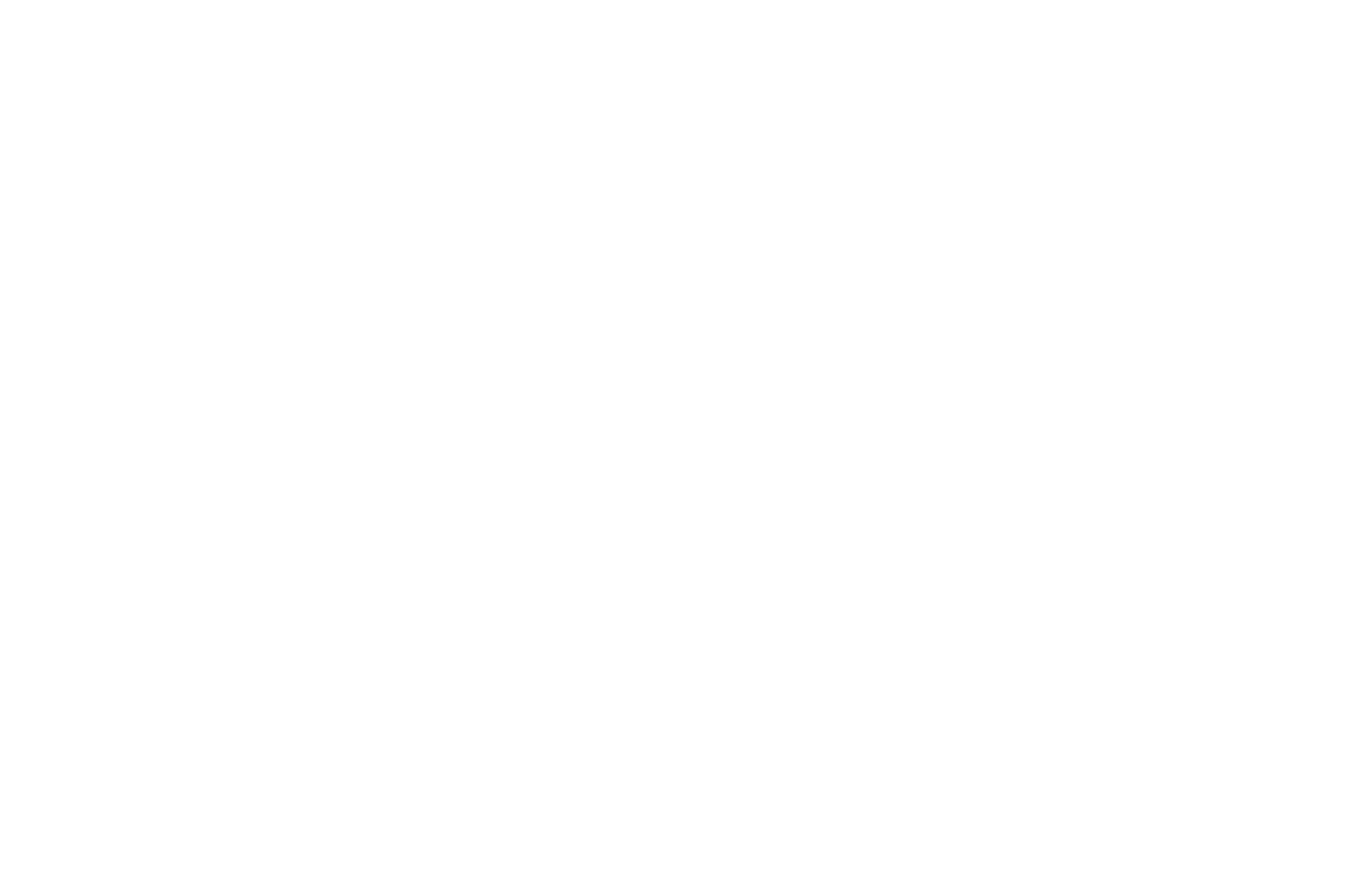 MI CDF Logo White.png