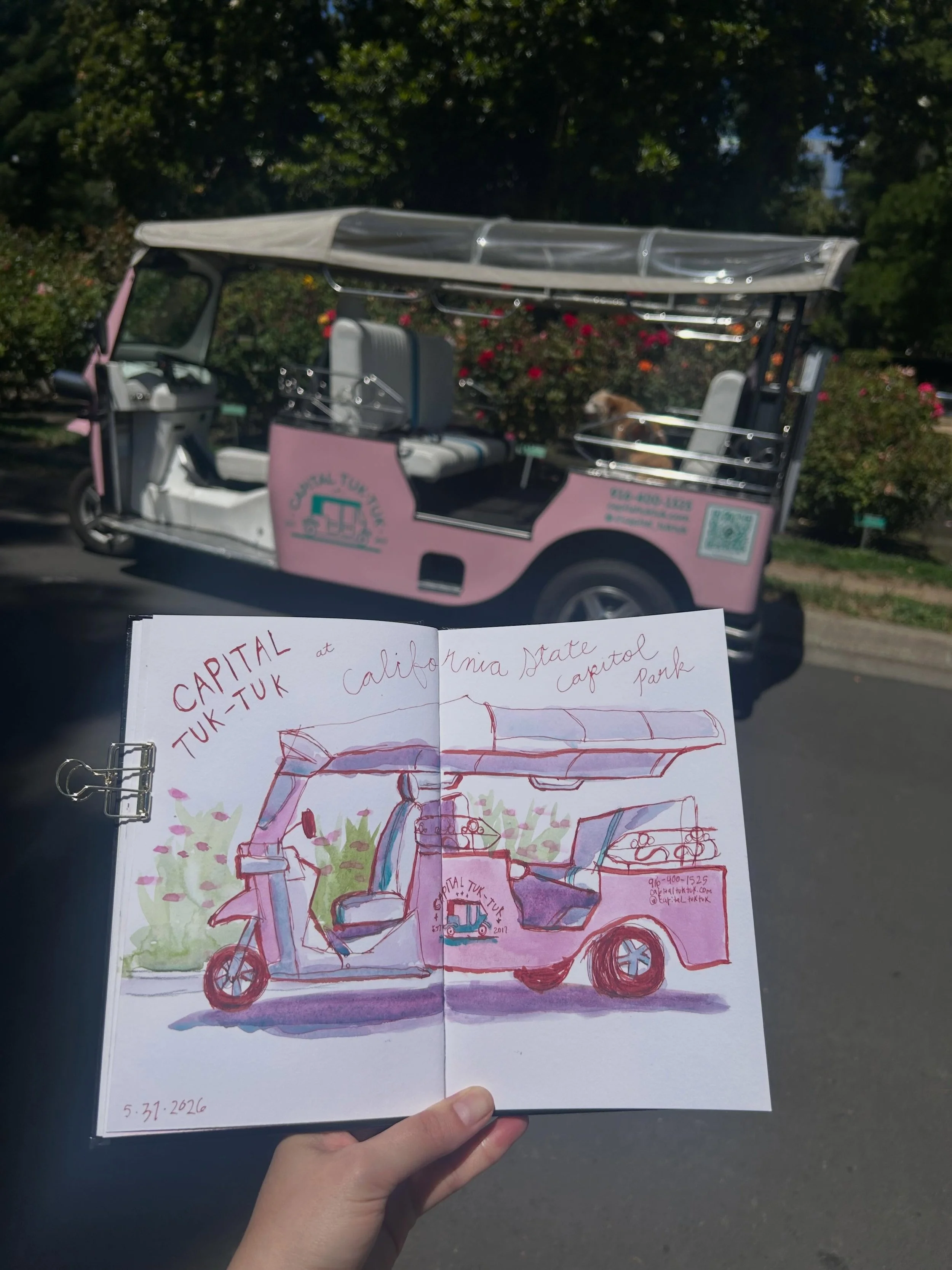 Isn&rsquo;t Capital Tuk-Tuk the cutest? 🎀 The Capitol State Park was a lovely spot for our @urbansketcherssacramento meetup today, and we lucked out that we were able to capture @capital_tuktuk among the roses. 🌹 

Also yes, that is a dog hanging o