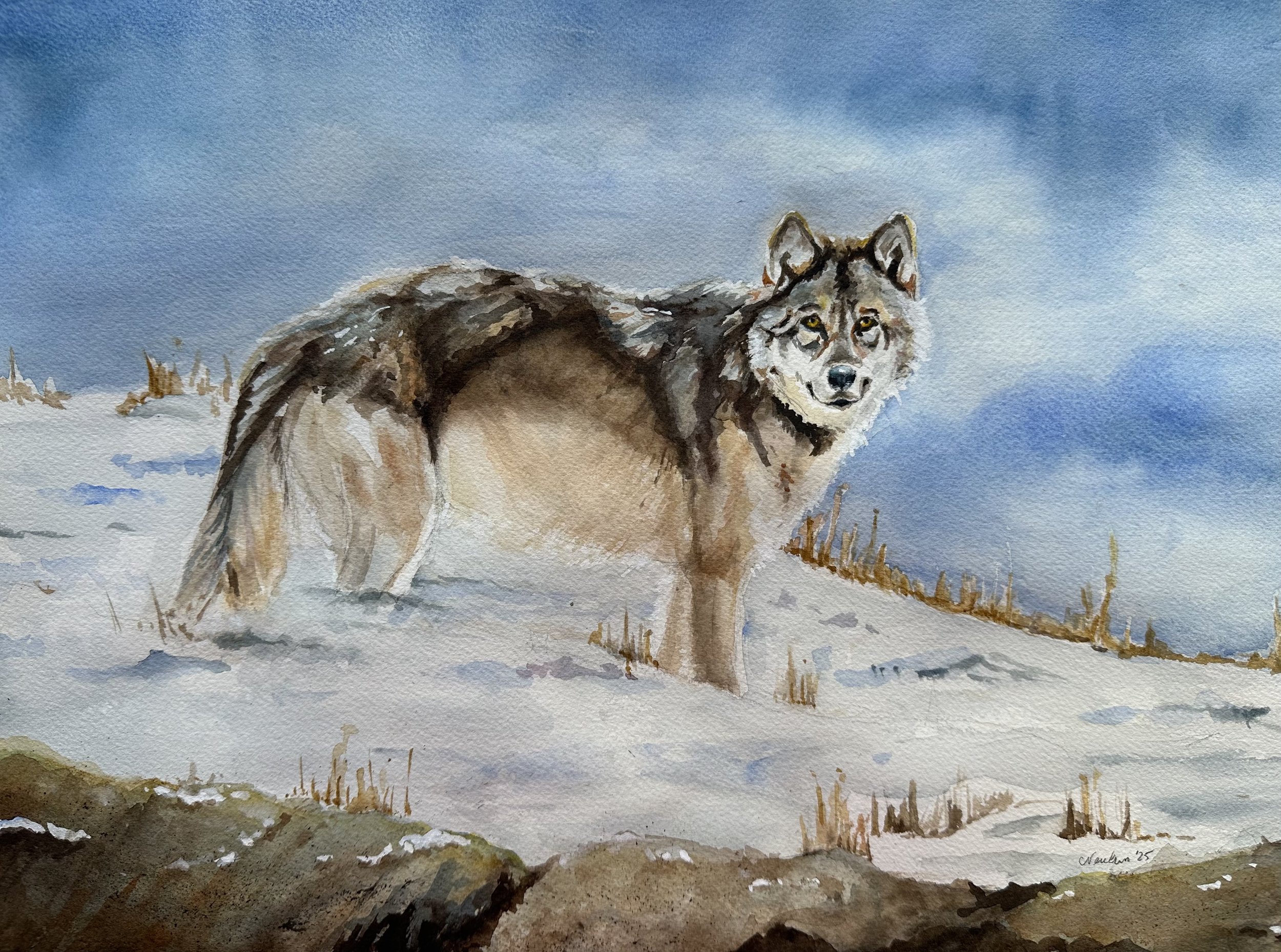 The Watchful One