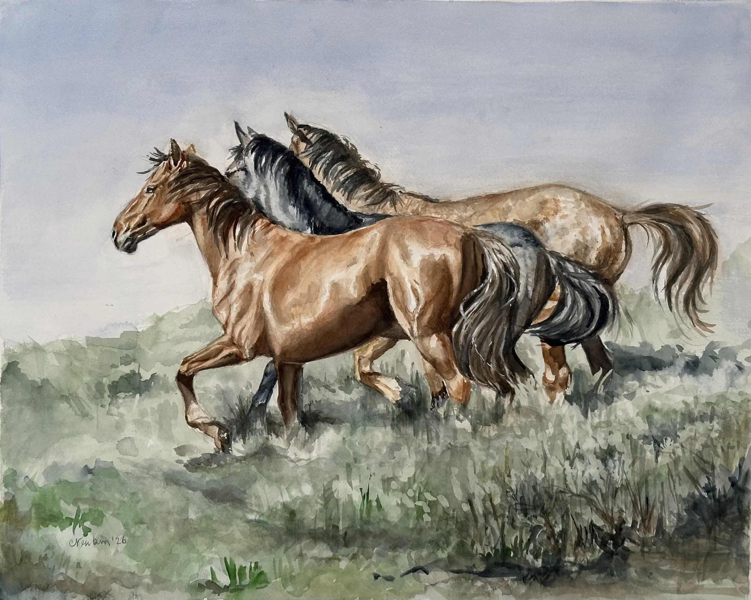 Running Free (for now)