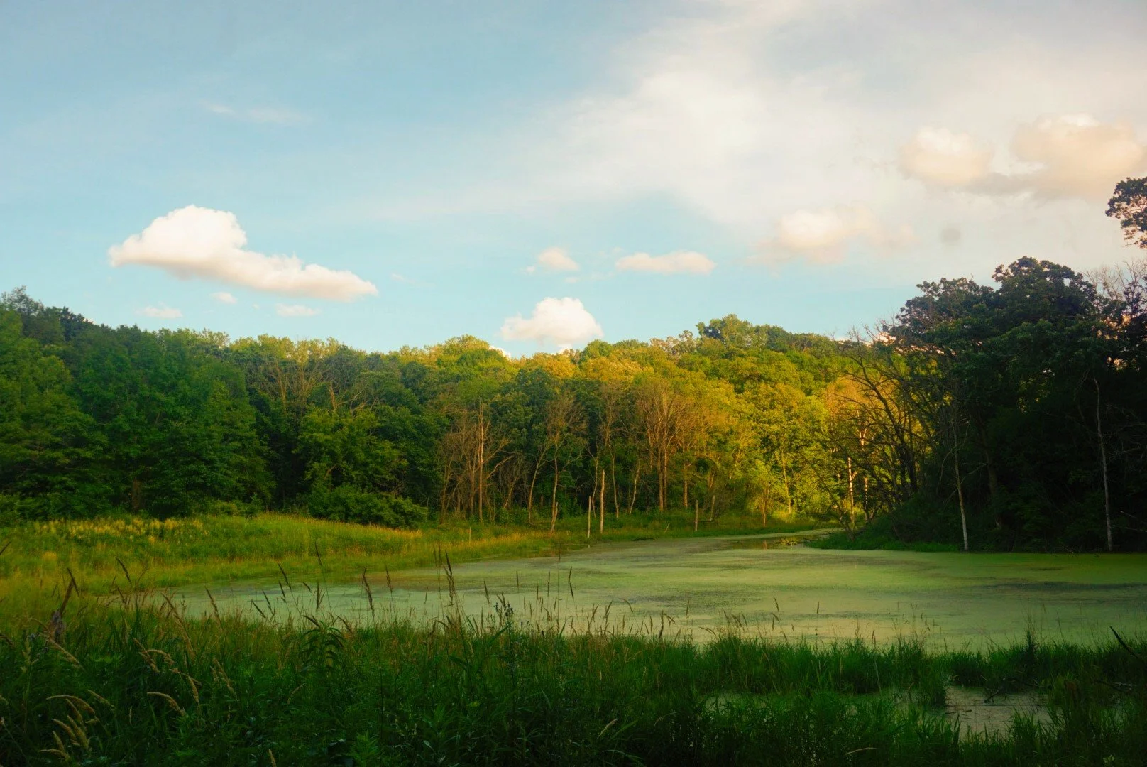 DSC03693~2.JPG
