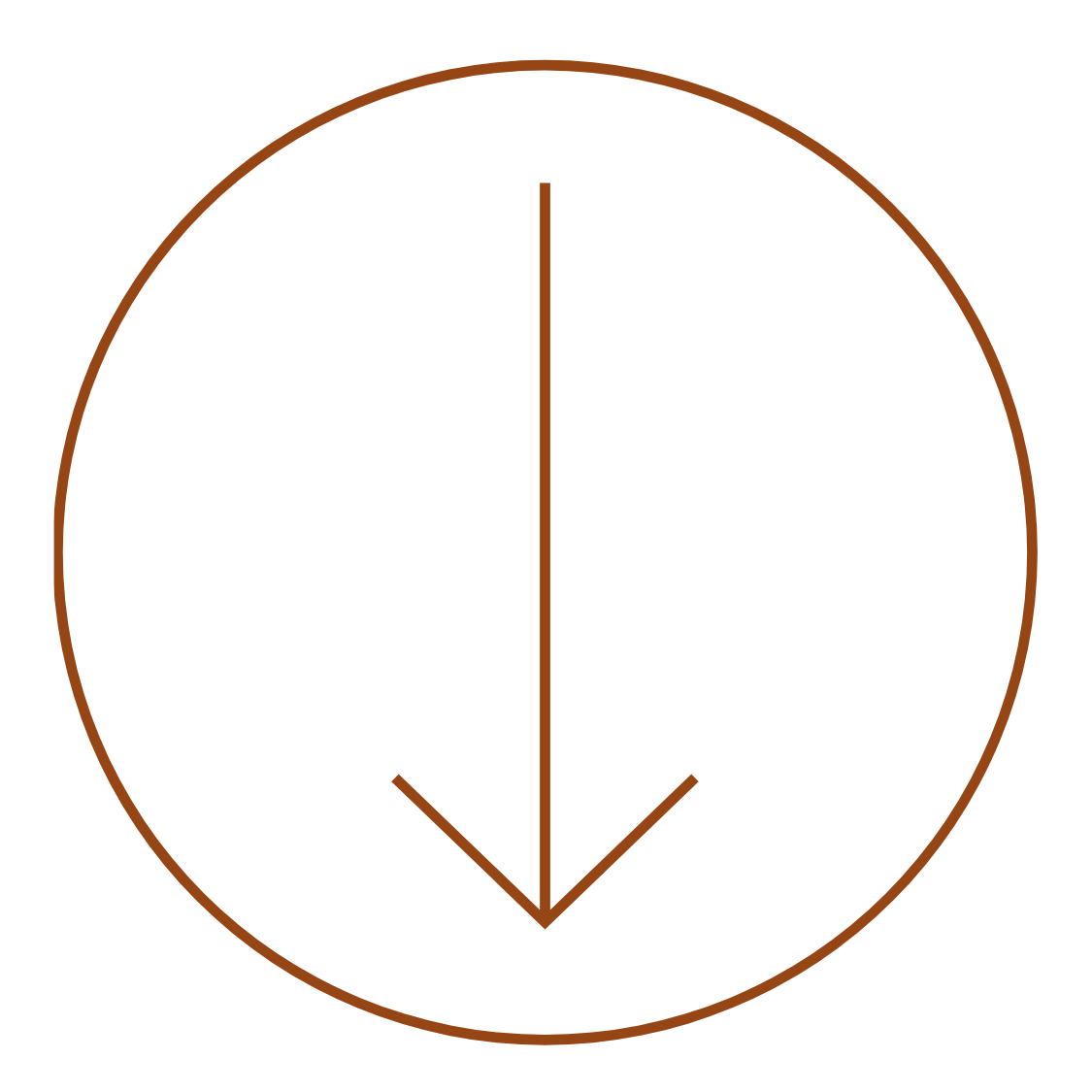 A compass with a downward pointing arrow inside a circular border.