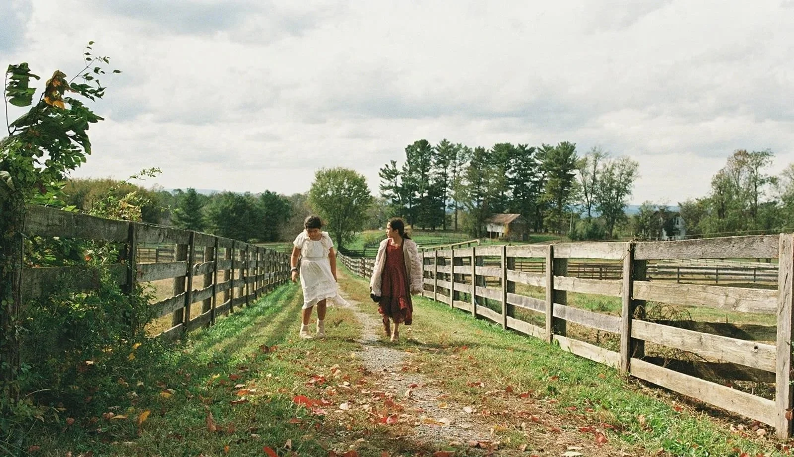 Best Places for Family Photos in Fairfax, VA