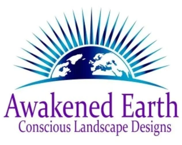 Awakened Earth