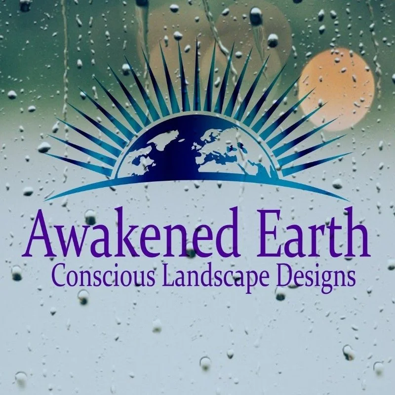Logo for Awakened Earth, a landscape design business, featuring a stylized globe with world map silhouette and radiating lines, set against a rainy window background with water droplets and sunlight.