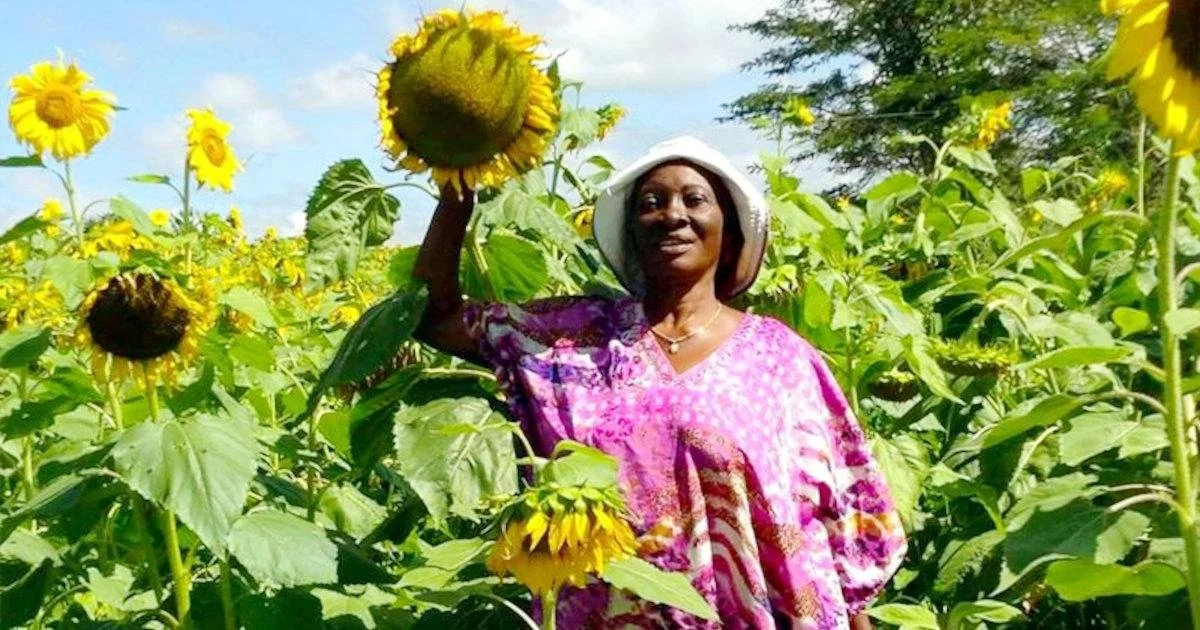 EPB - Agripreneur Foundation Limited