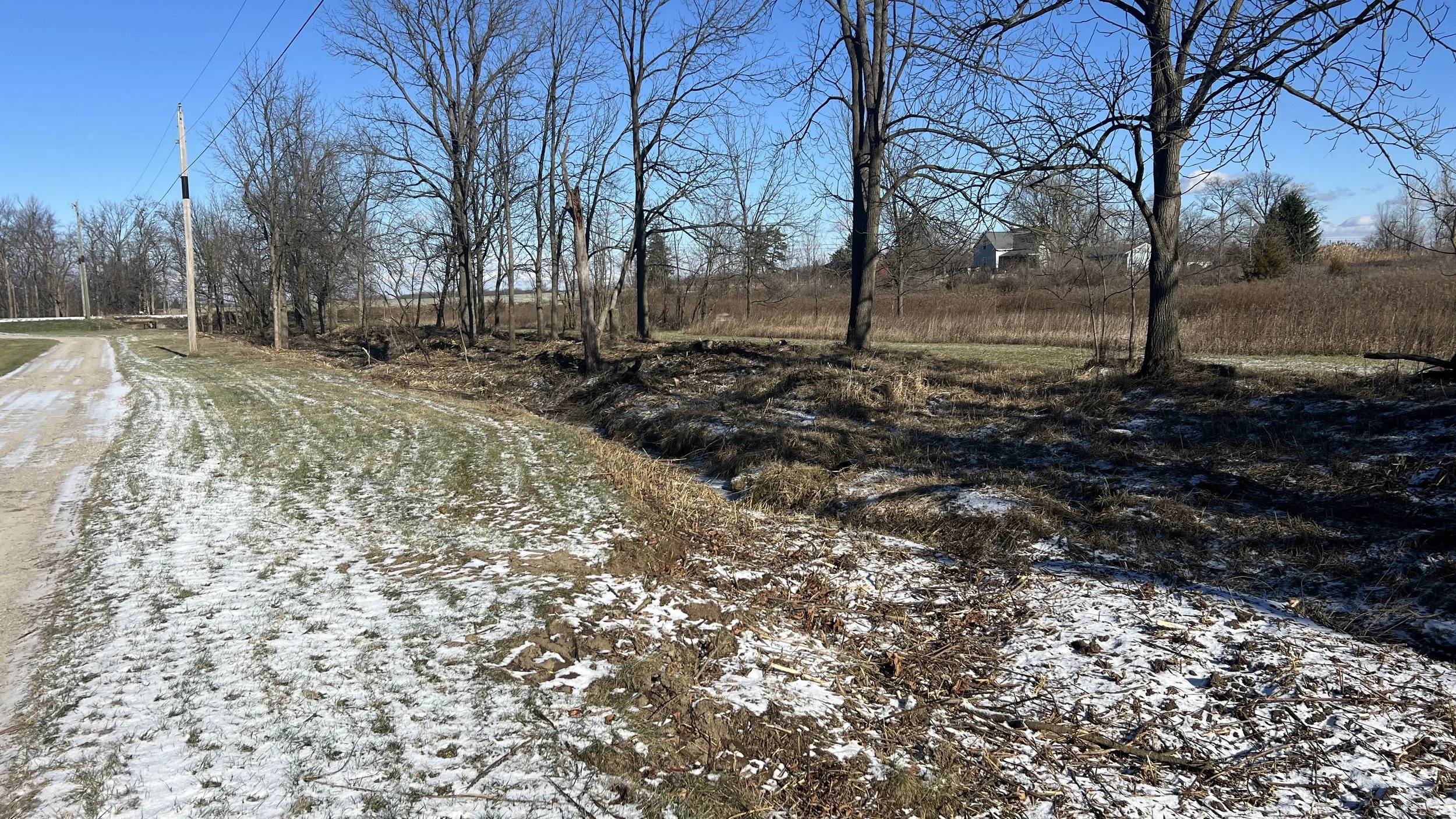 Mowed brush in a ditch