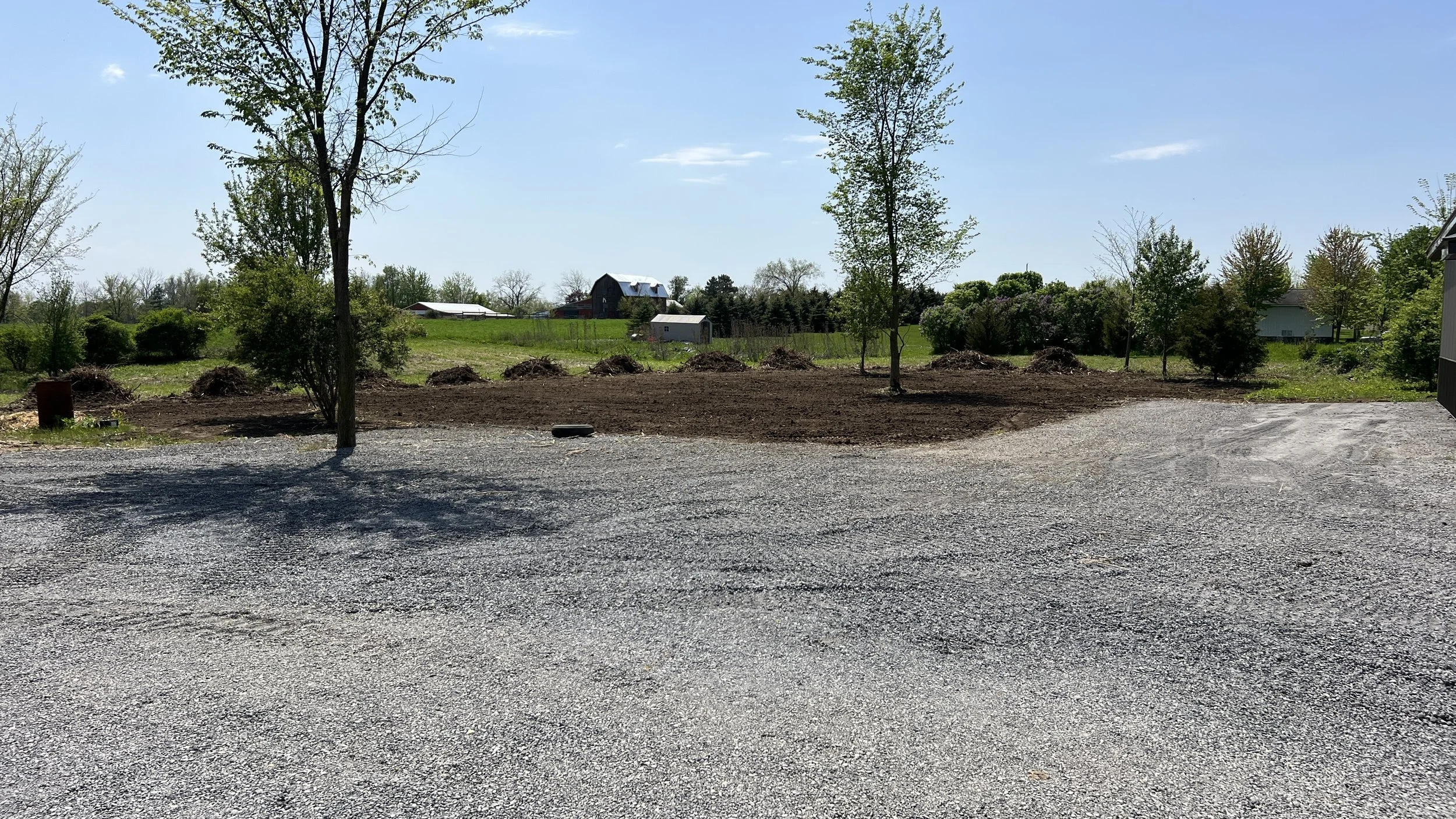 Skid Steer clean up mulch, Vegetation management