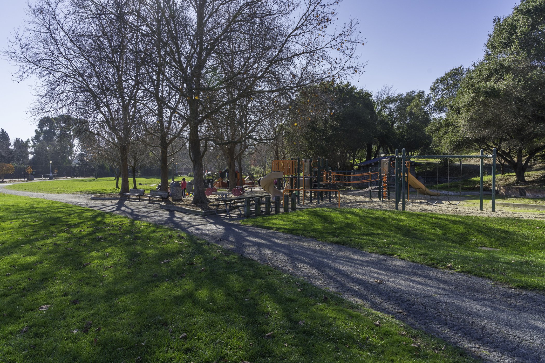 A park with green grass, trees, a playground, benches, and a pathway on a sunny day.