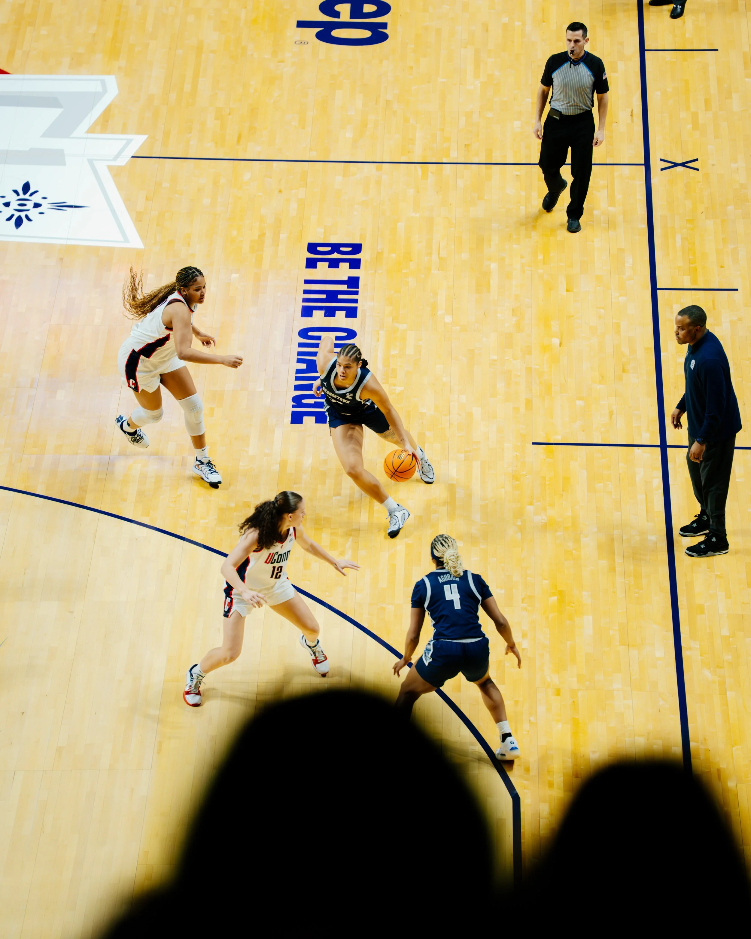 Hoyas-17.jpg