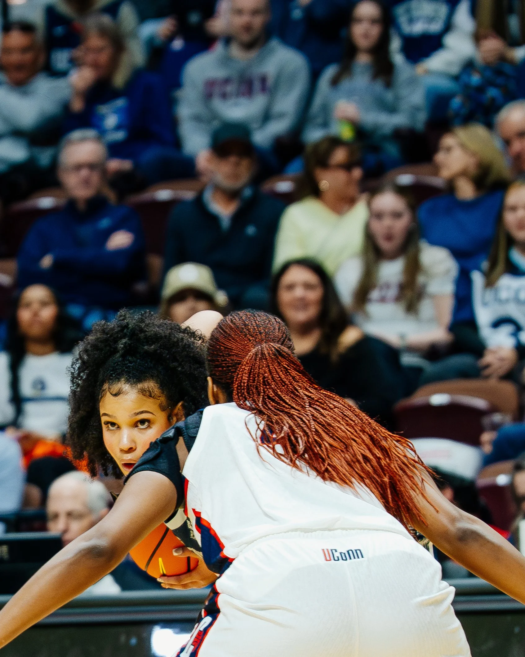 Hoyas-09.jpg