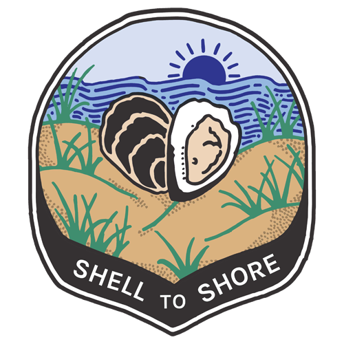 Shell to Shore