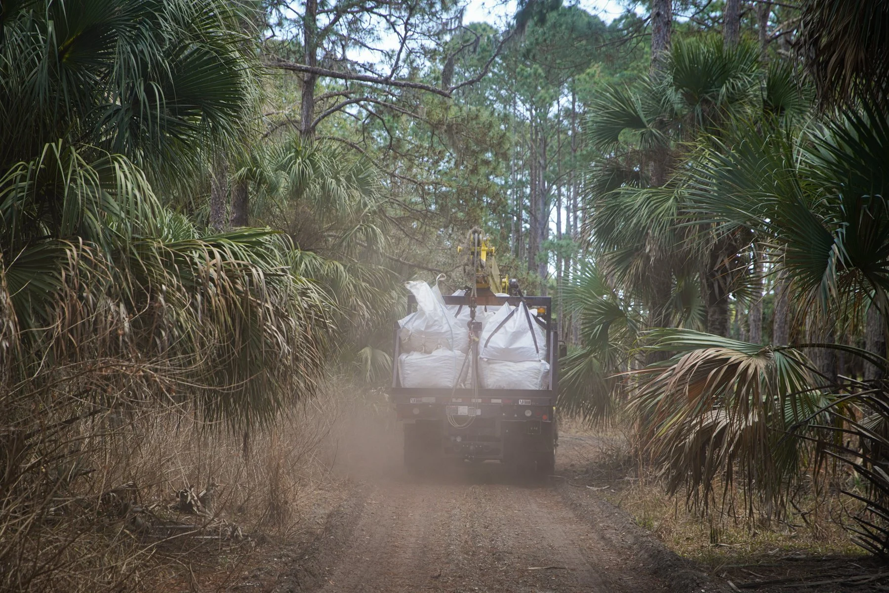 Truck hauling oystershell across Sapelo Island, GA