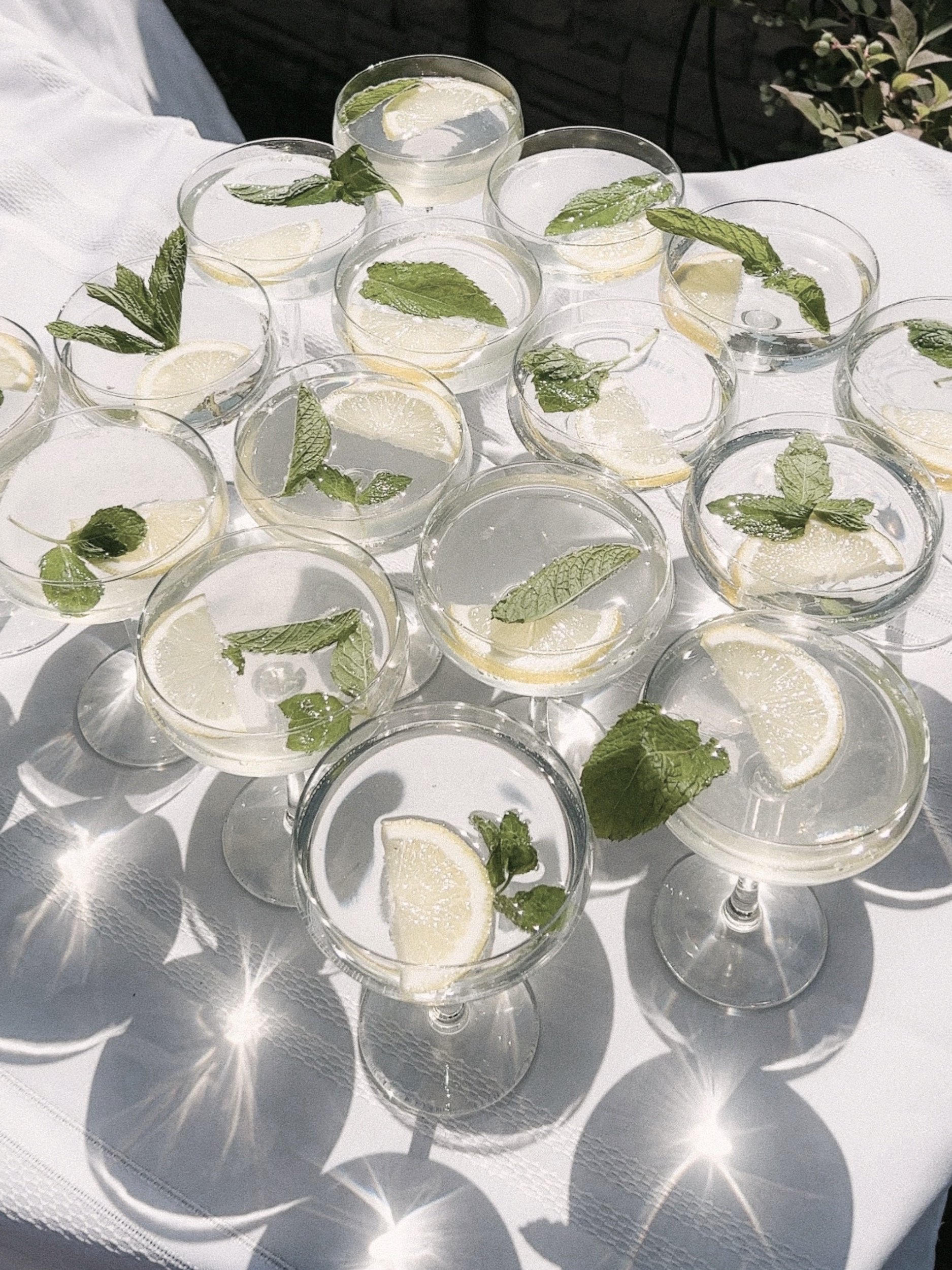 Multiple cocktail glasses filled with a clear beverage, garnished with lemon slices and fresh mint leaves, placed on a white tablecloth.