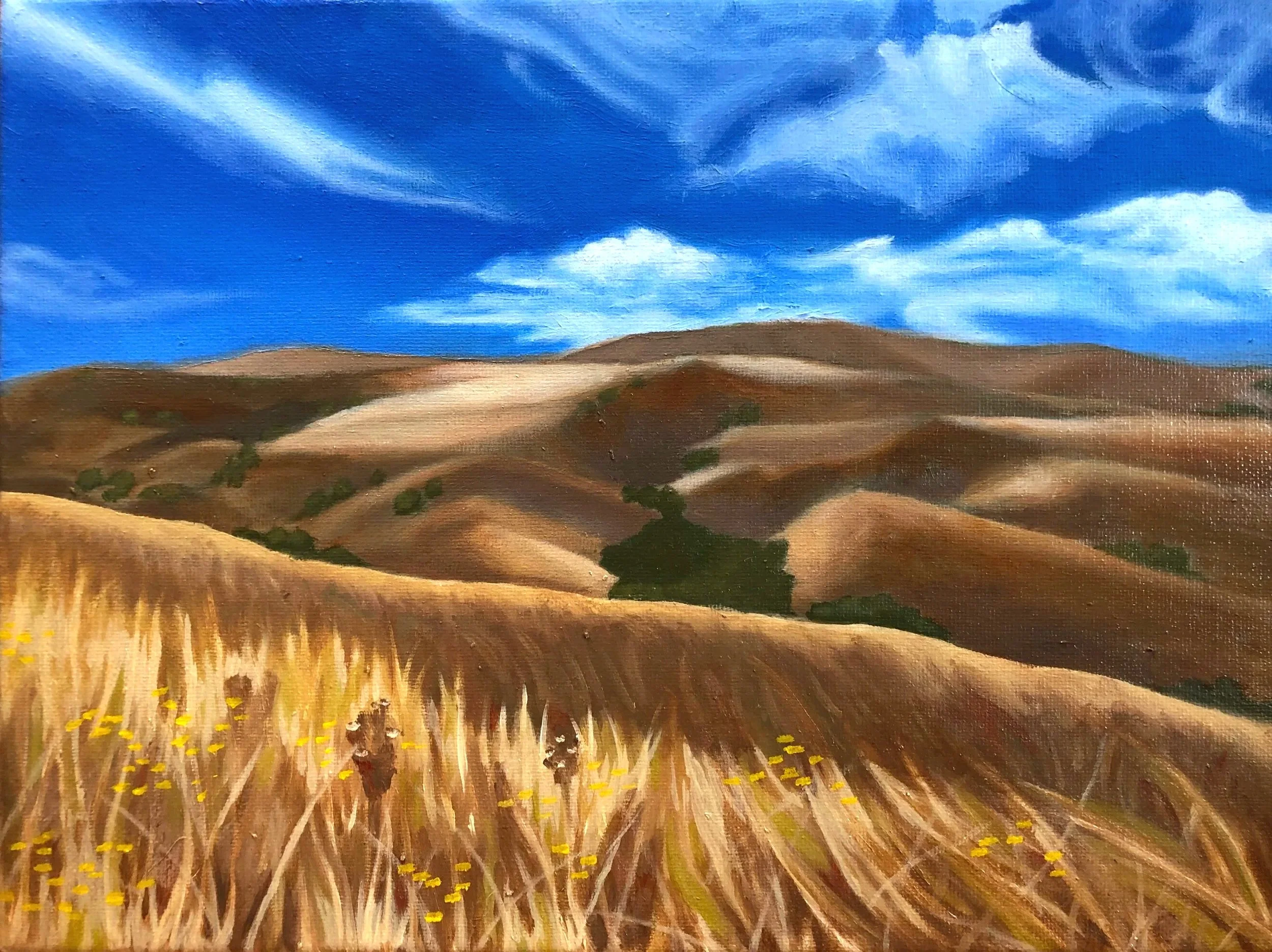 <b>Golden Hills</b><br>oil on canvas<br>9" x 12" (Copy)