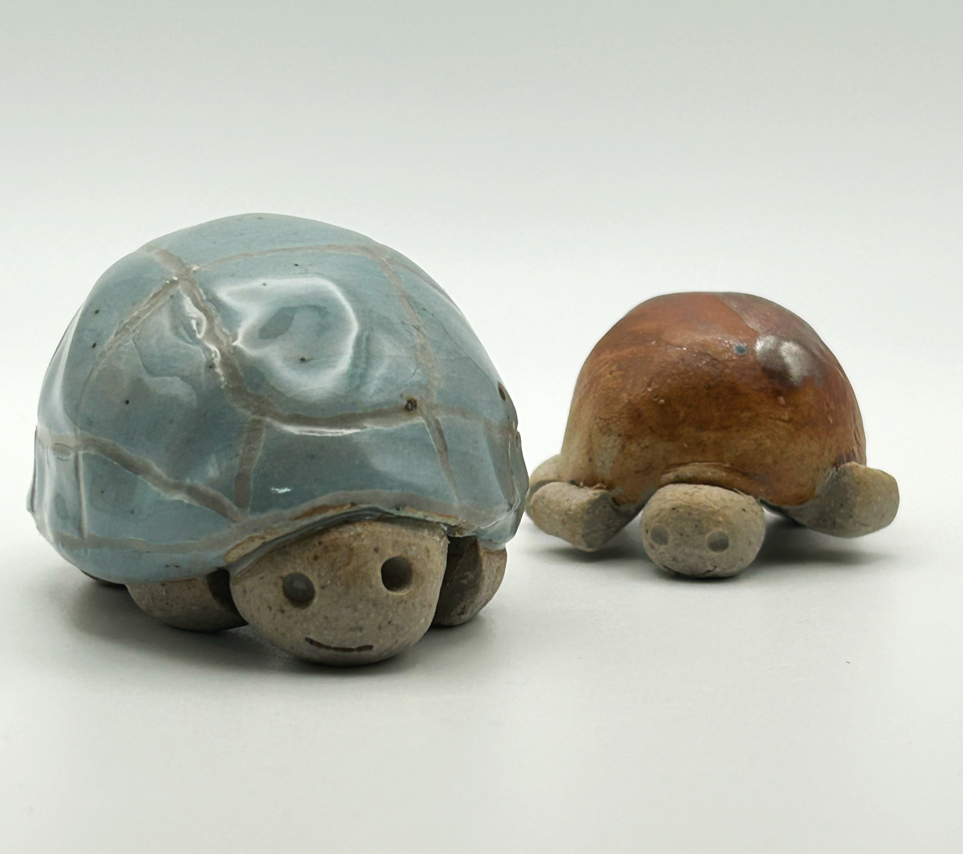 Turtly Turtles