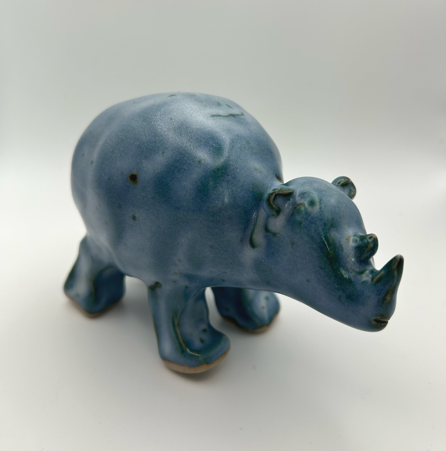 Slow Mo Rhino