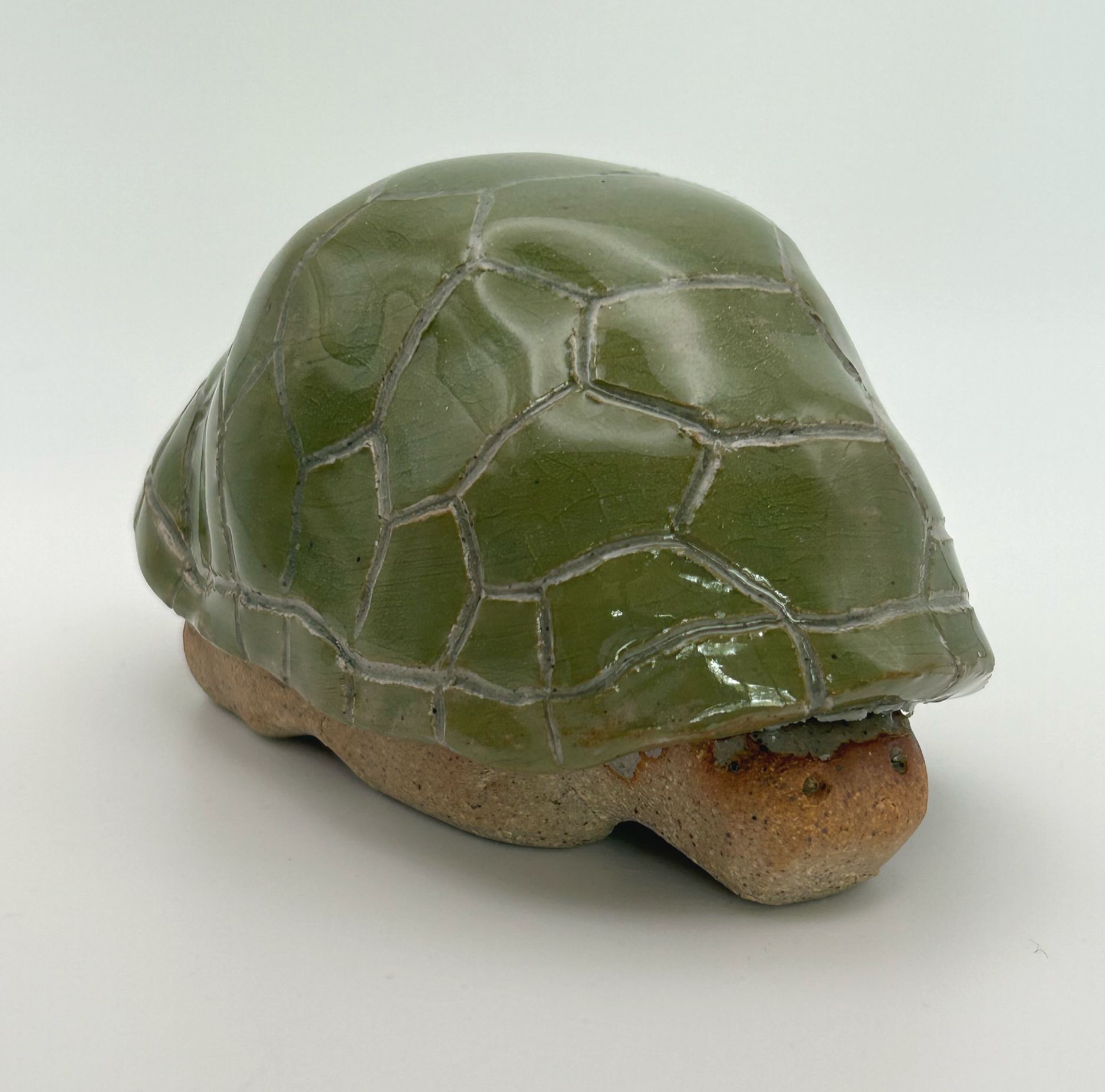 TurtleStride