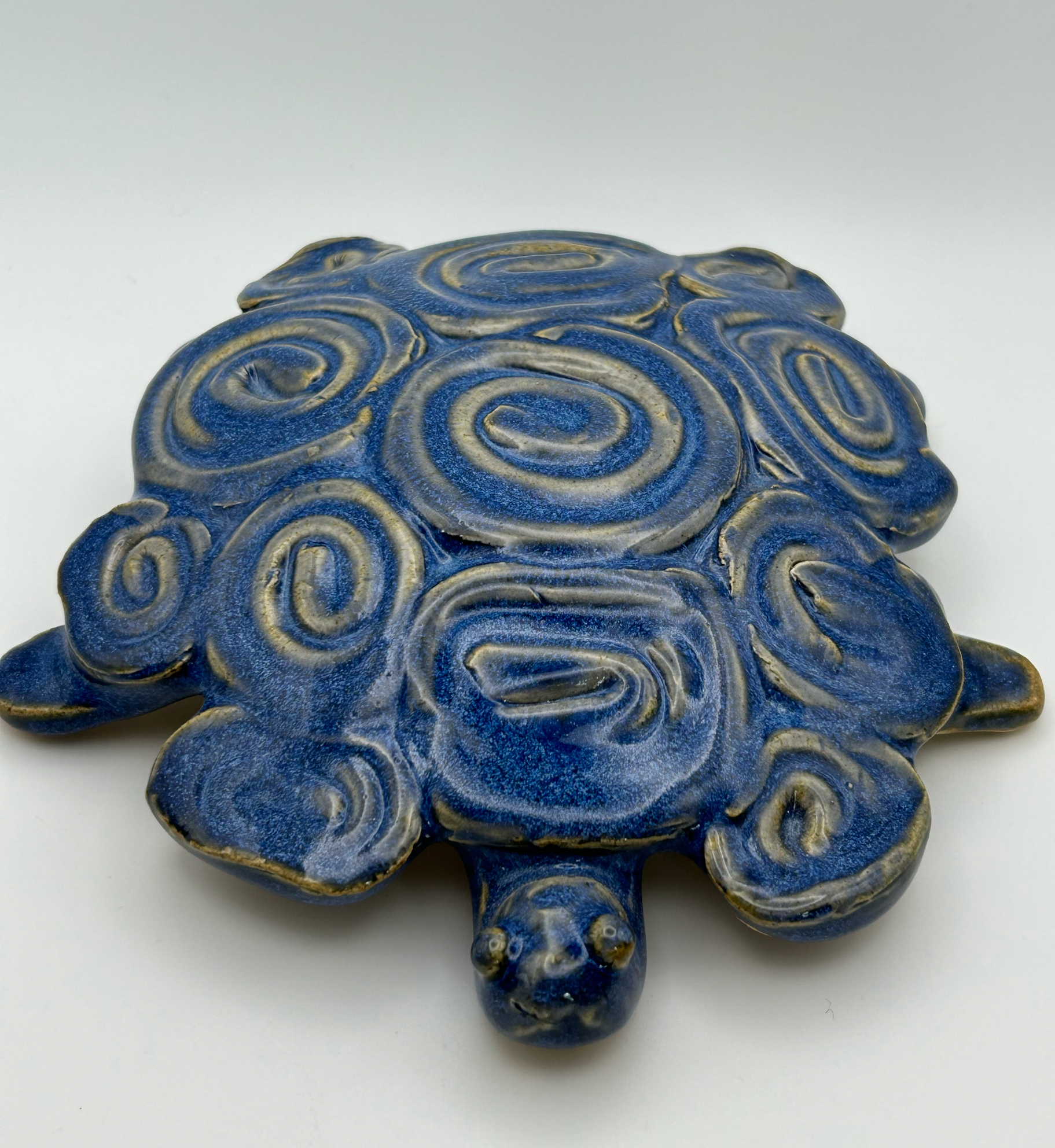 Swirly Turtle