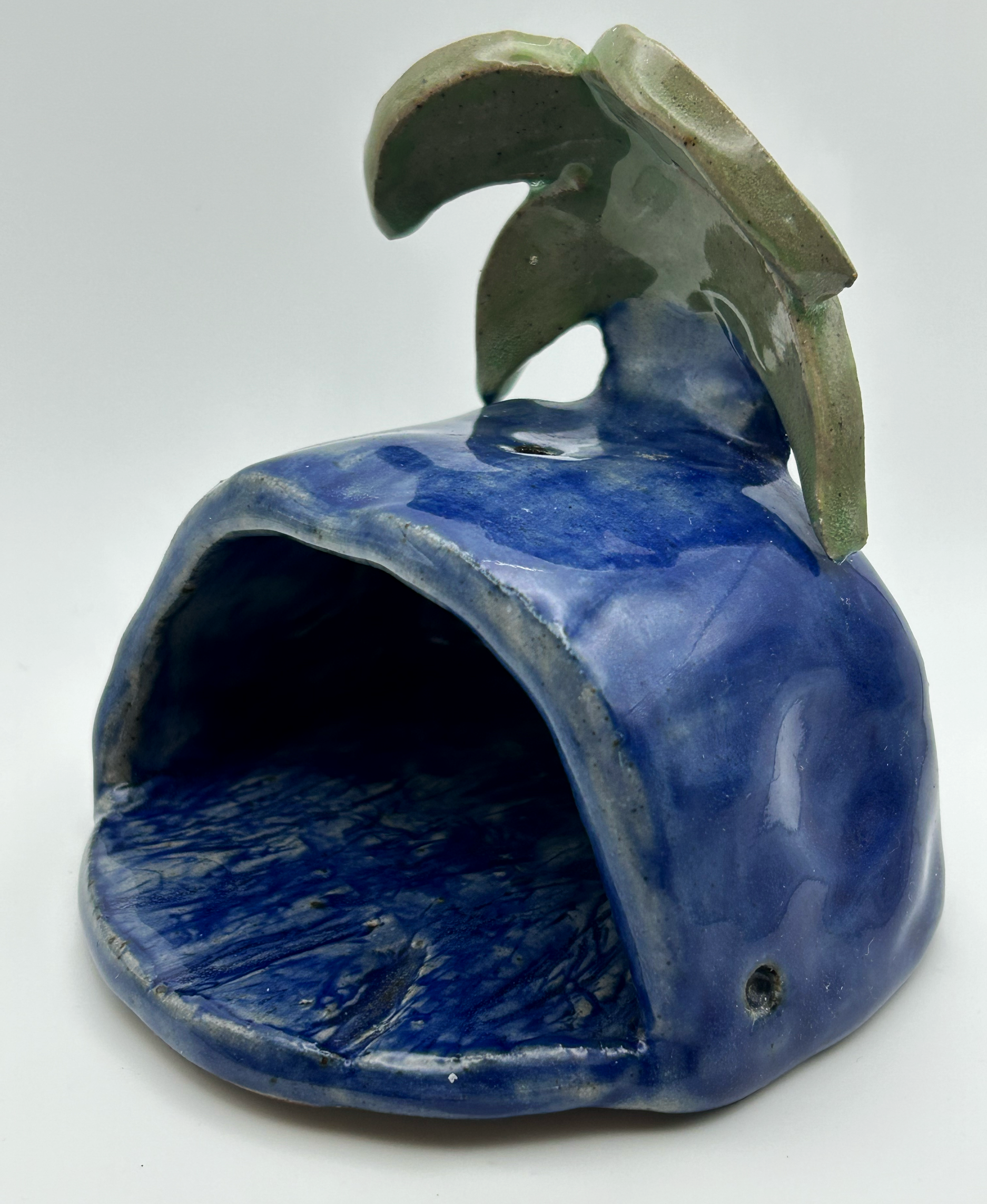 Whale