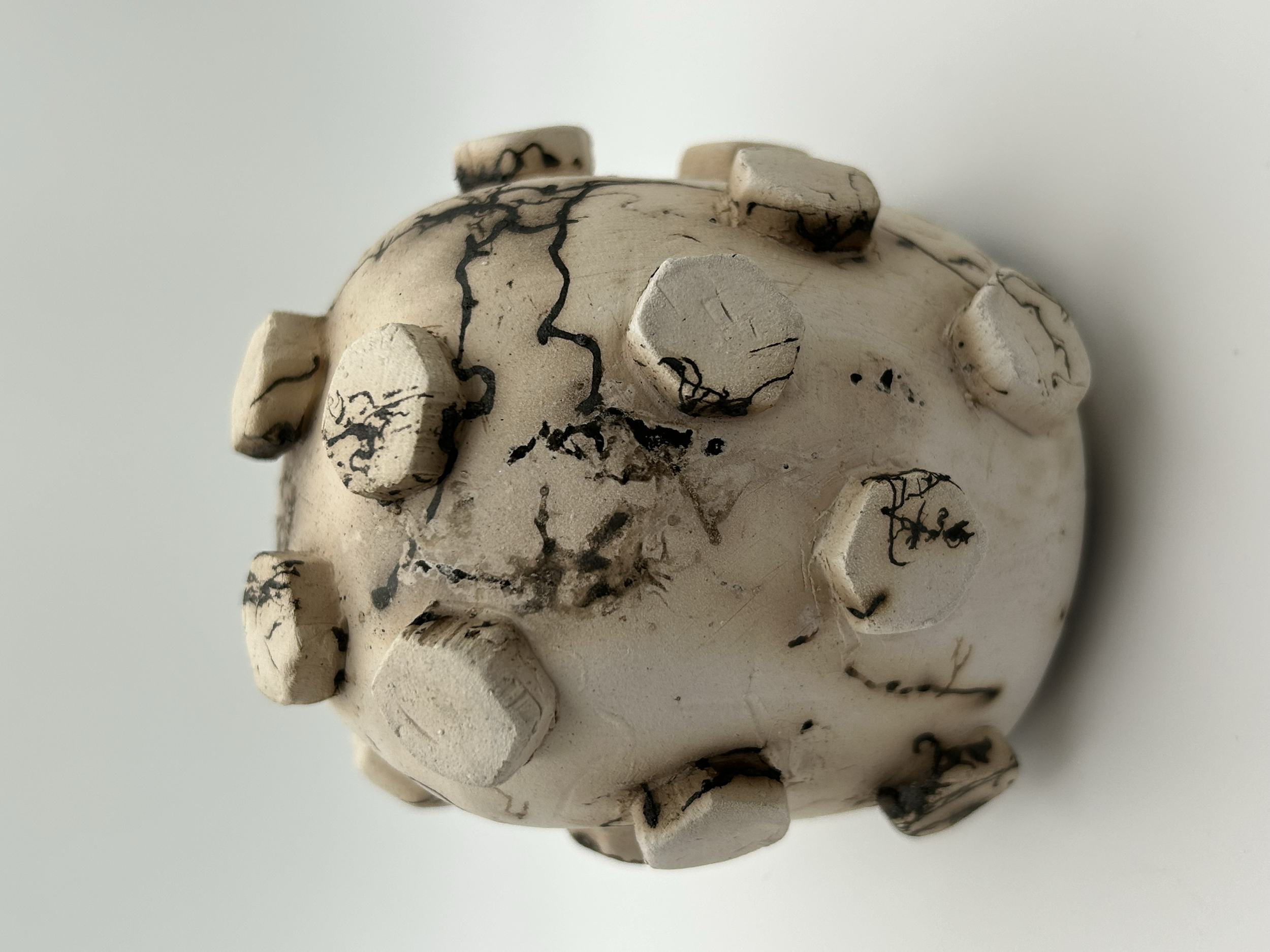 IMG_0567x1NRus.png