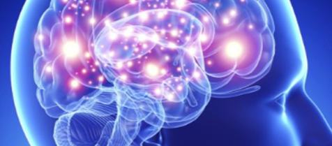 Digital illustration of a human brain with glowing, interconnected neurons and synapses.