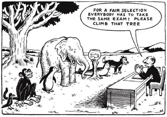 Cartoon picture of a duck, monkey, penguin, elephant, fish, seal, and dog, standing in front of a tree. A human sits at a desk saying "For a fair selection, everyone has to take the same exam. Please climb the tree.