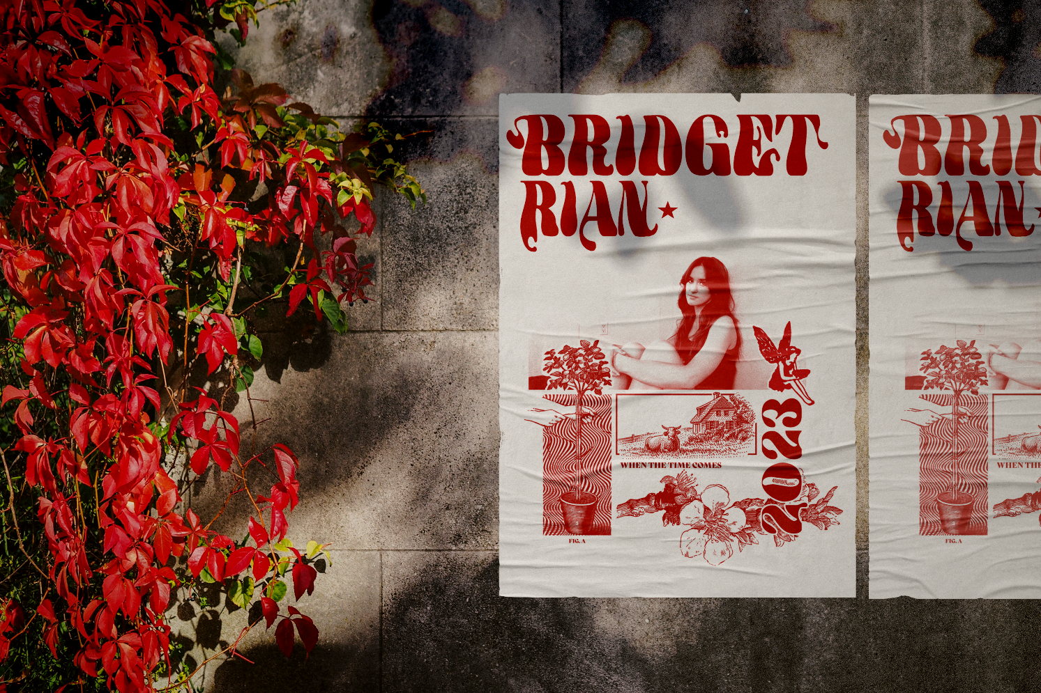 ryanposters.PNG