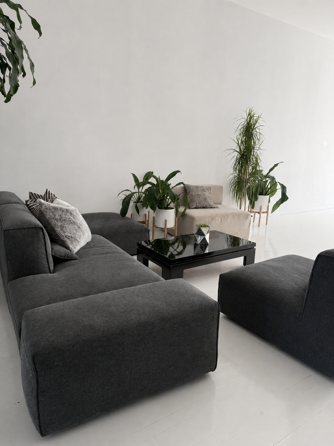 Minimalist living room with a dark gray sectional sofa, black coffee table, beige armchair, and numerous green potted plants against a white wall.