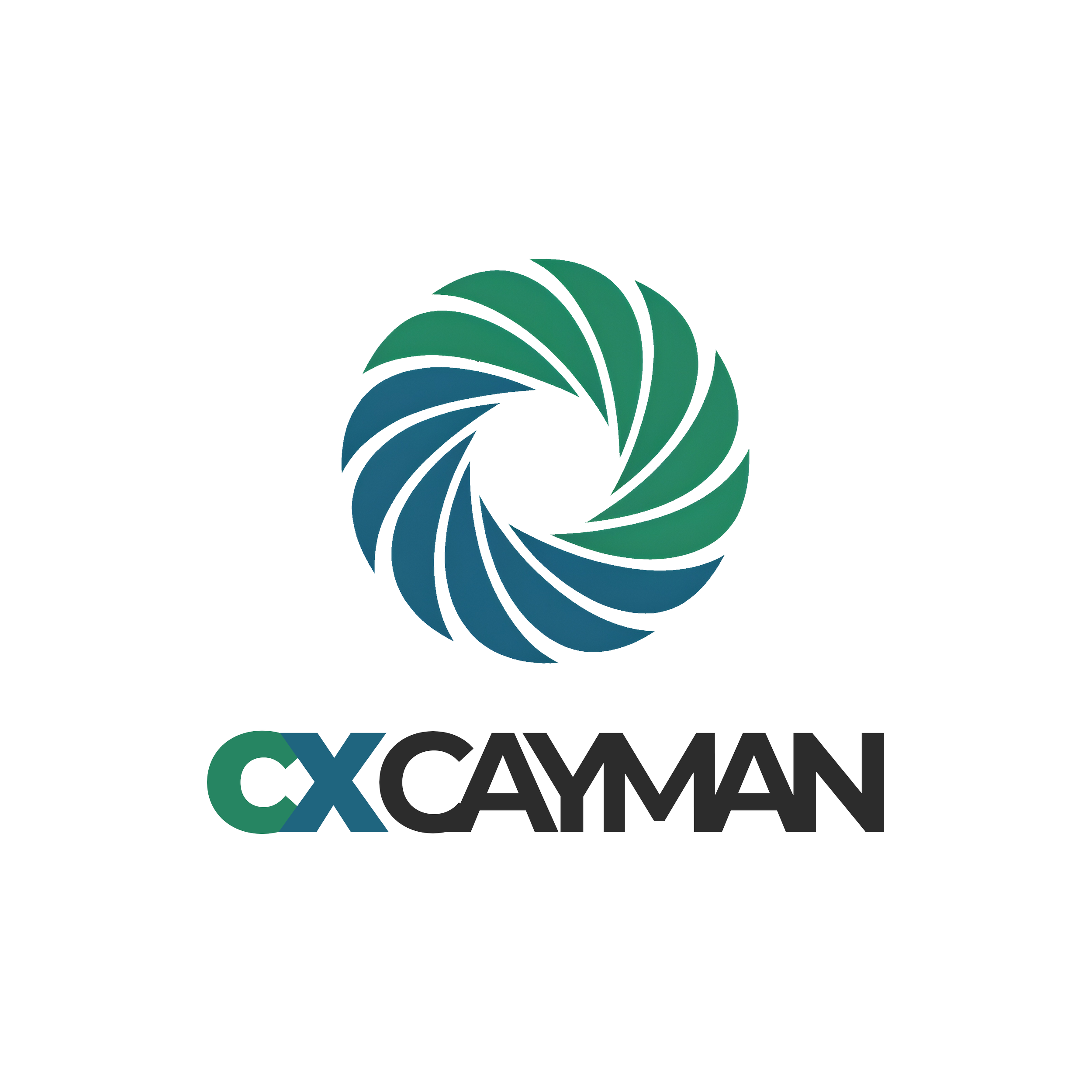 Logo of CXO NAM, a company or organization, with stylized green and blue swirling design near the bottom.