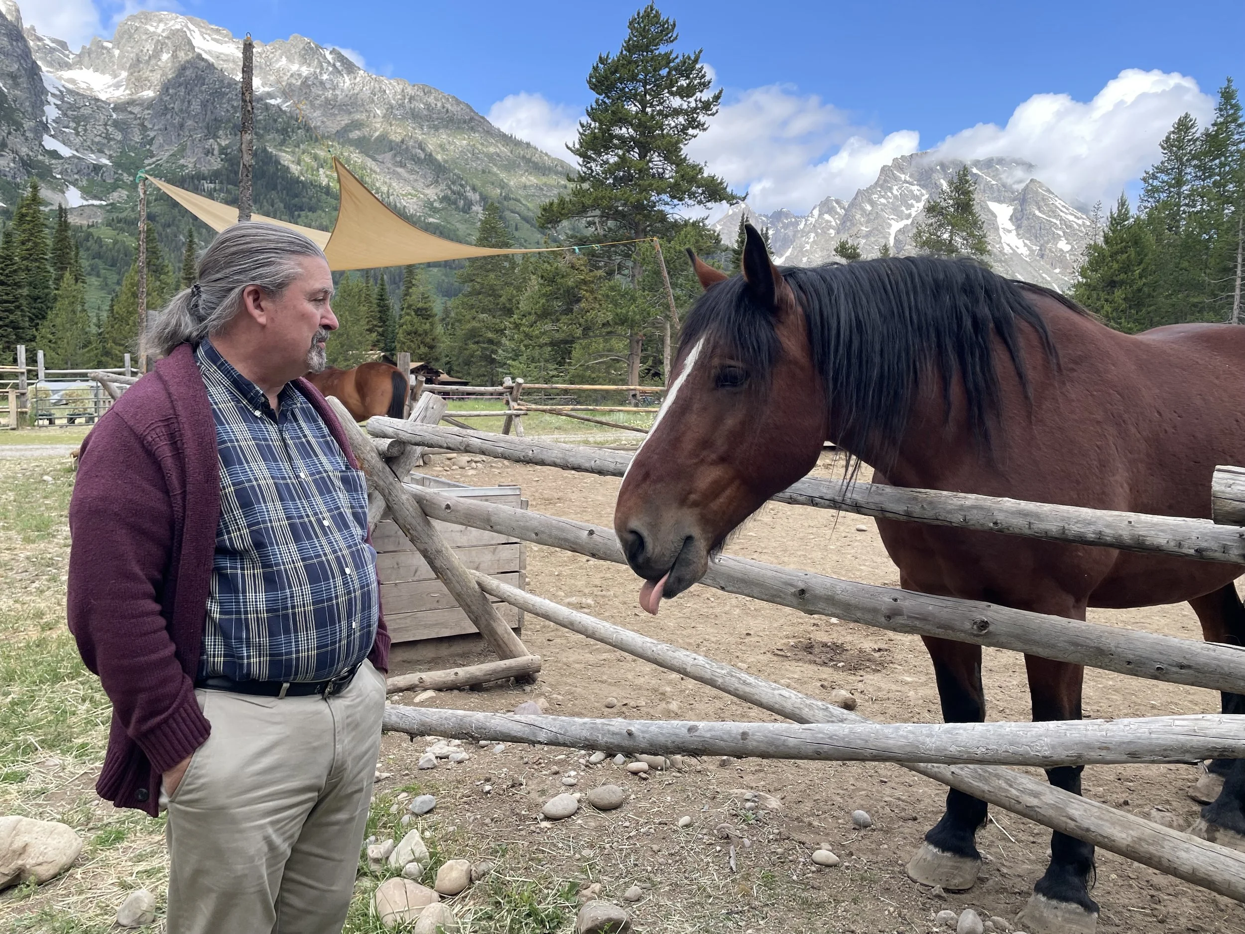 A man with gray hair and a beard, wearing a plaid shirt and a maroon cardigan, stands with his hands in his pockets looking at a brown horse with a black mane, which is reaching over a wooden fence. The background features green trees, mountains with