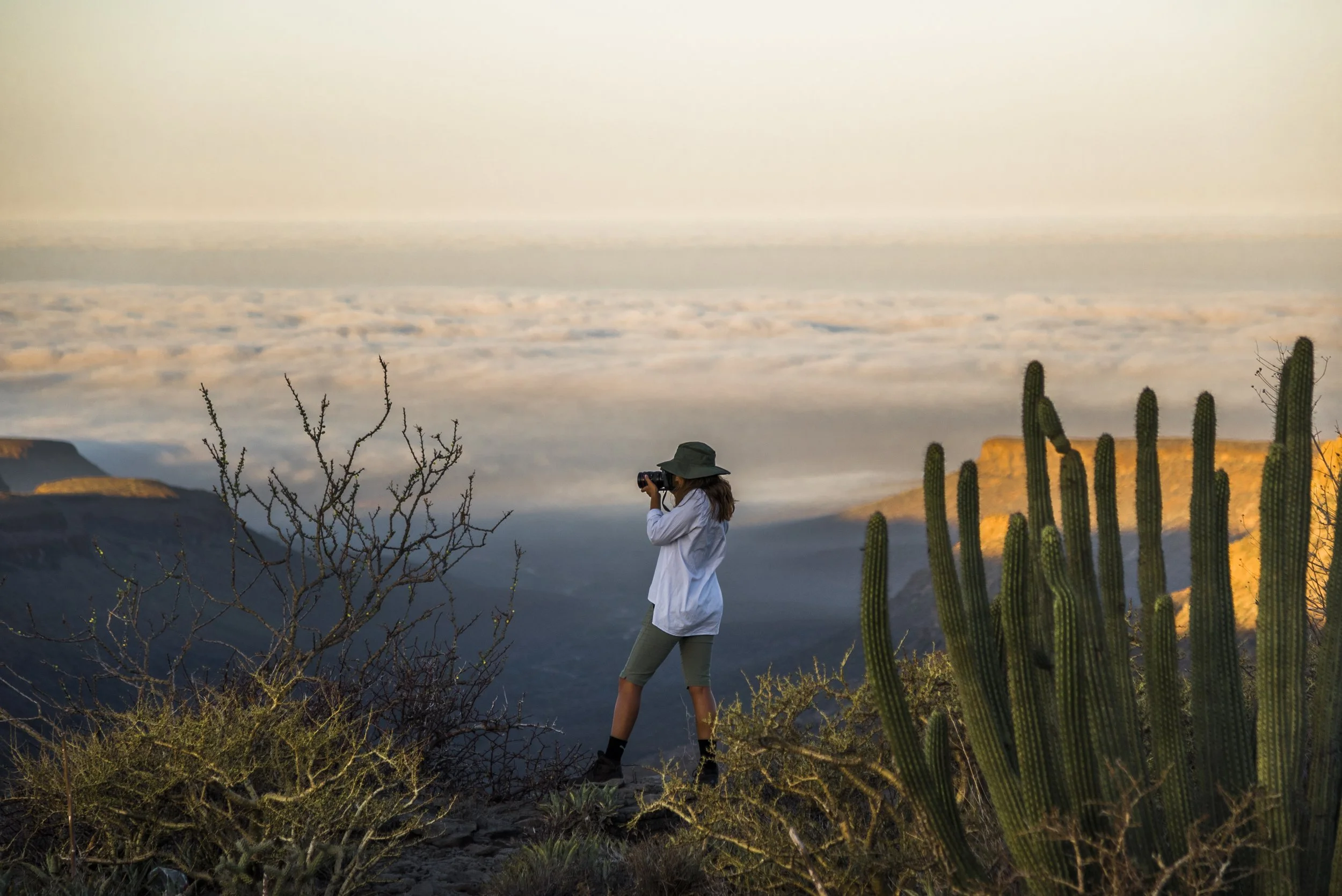 Visitante observando el paisaje desértico desde un mirador en la Sierra de San Francisco, Mulegé, Baja California Sur.