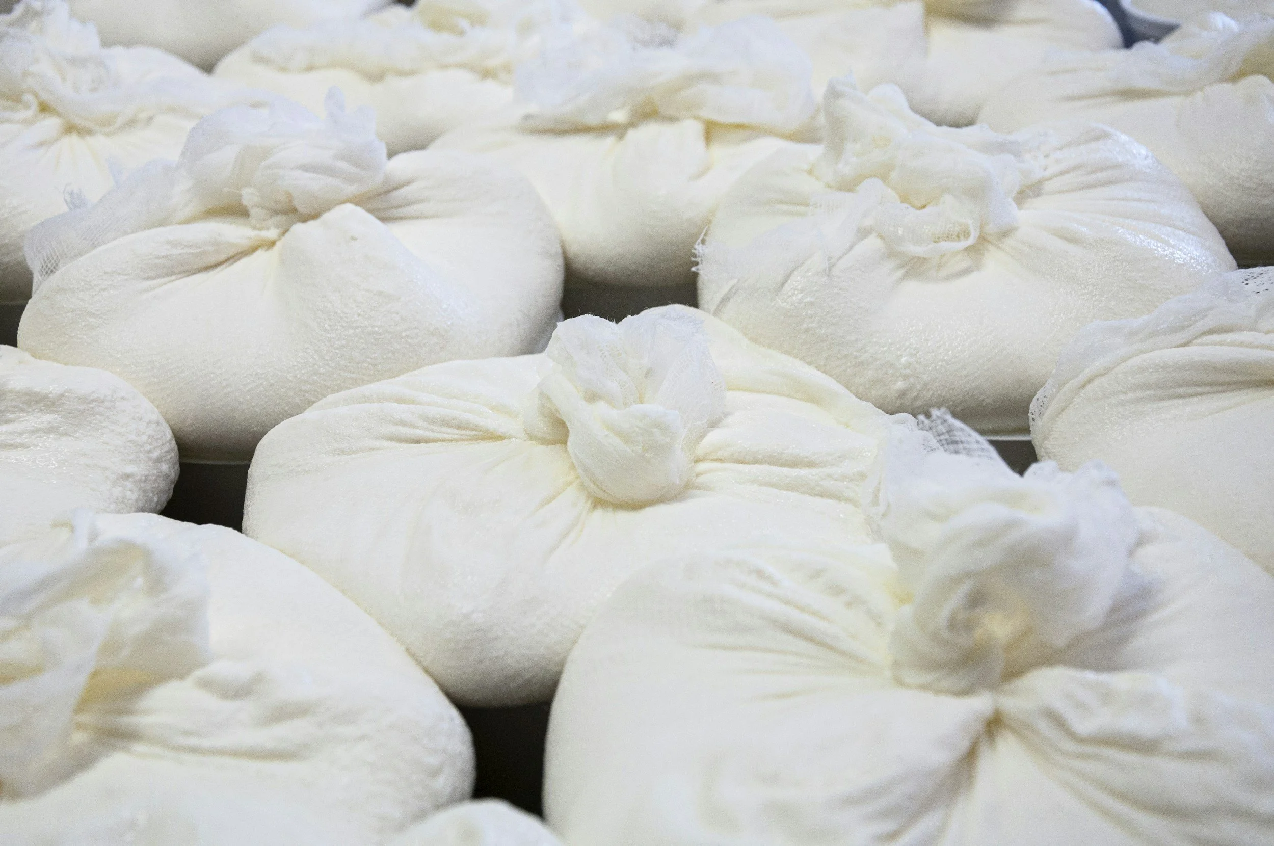 Queso artesanal elaborado en comunidades rurales de San Francisco de la Sierra, Baja California Sur.
