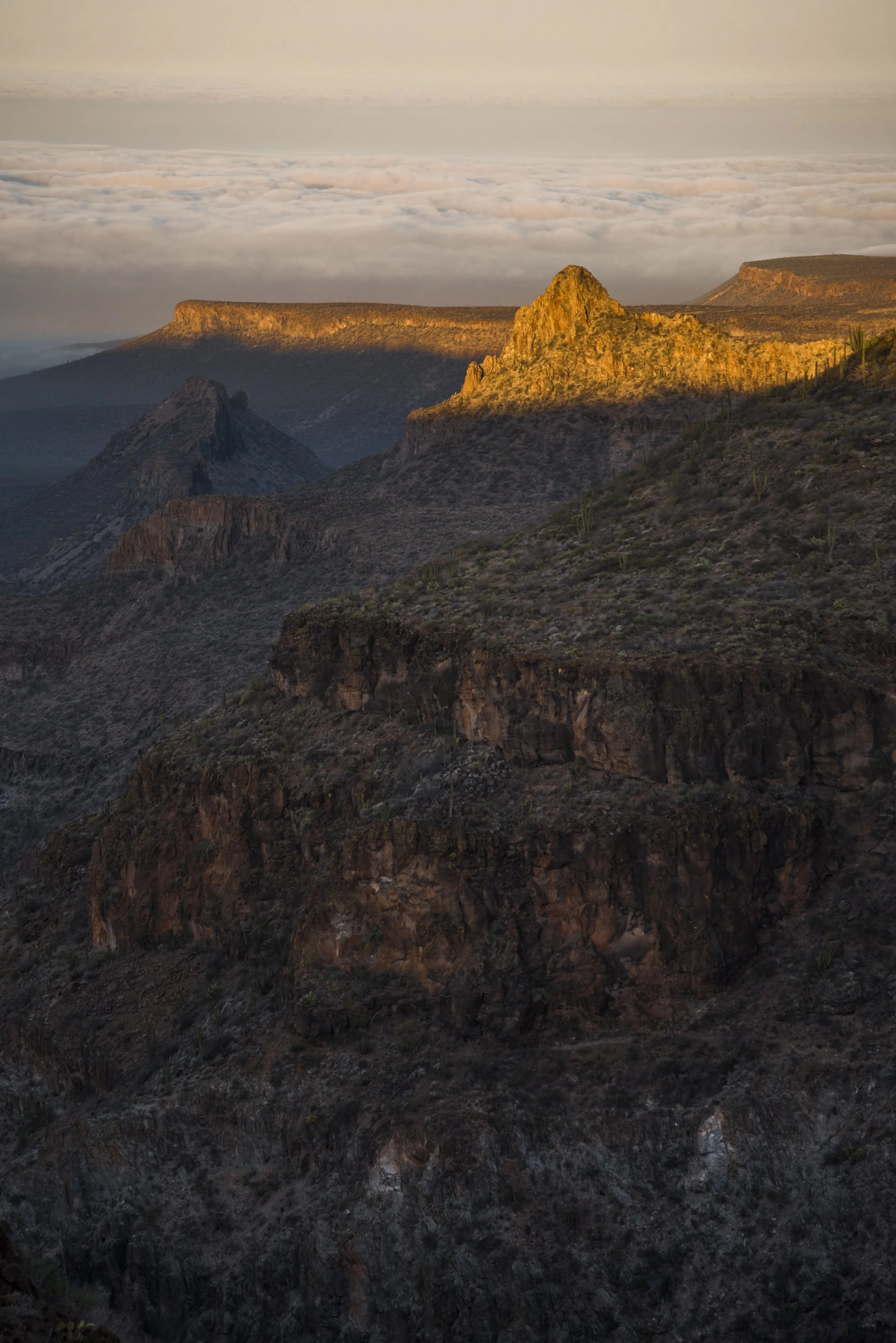 Vista panorámica del Cañón de Santa Teresa al amanecer en la Sierra de San Francisco, Mulegé, Baja California Sur.