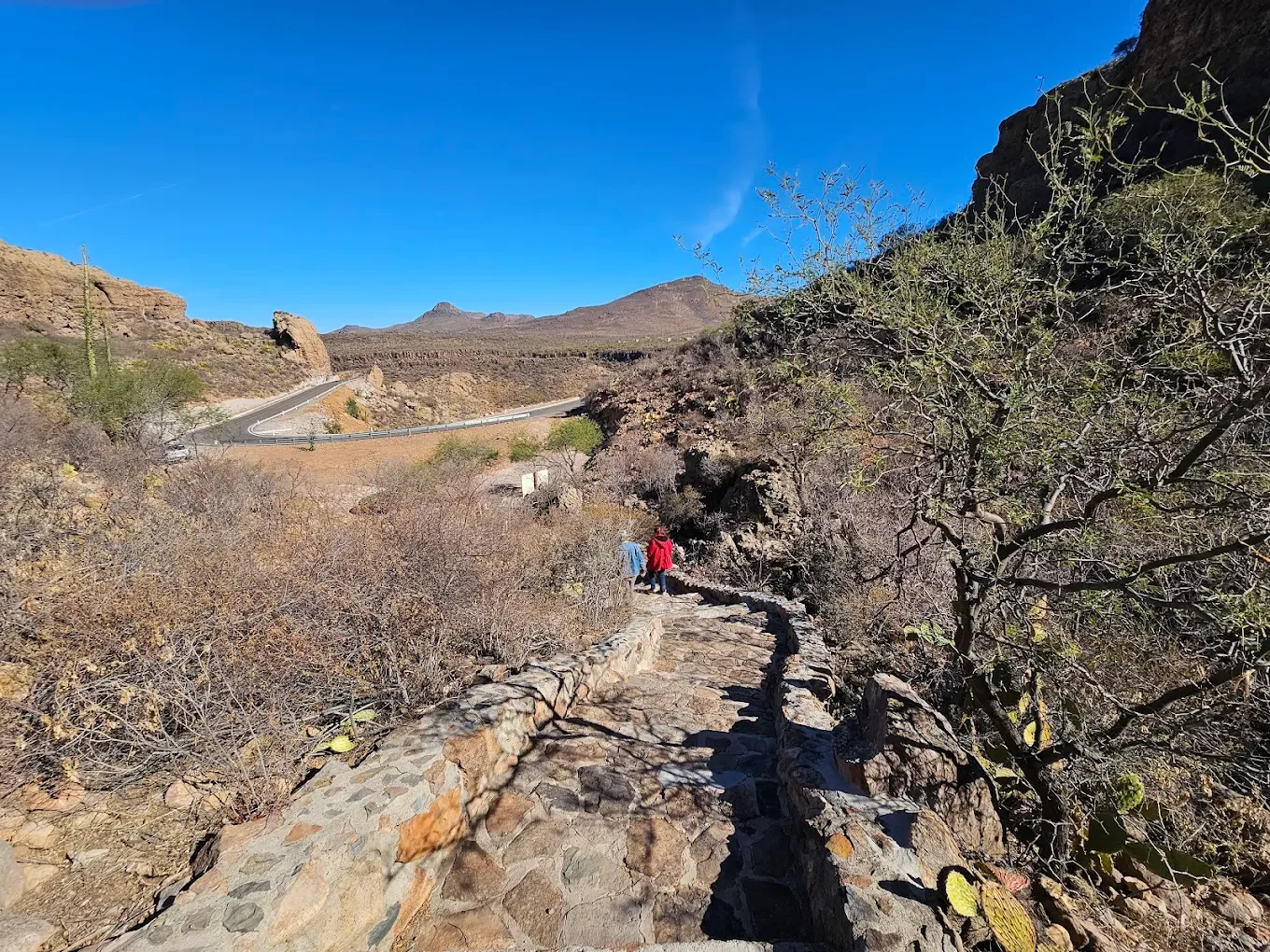 Camino de acceso y paisaje desértico en San Francisco de la Sierra, Baja California Sur.
