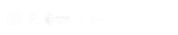 Black and white informational graphic with logos and text referencing surfer culture, Pacific Ocean, and California.
