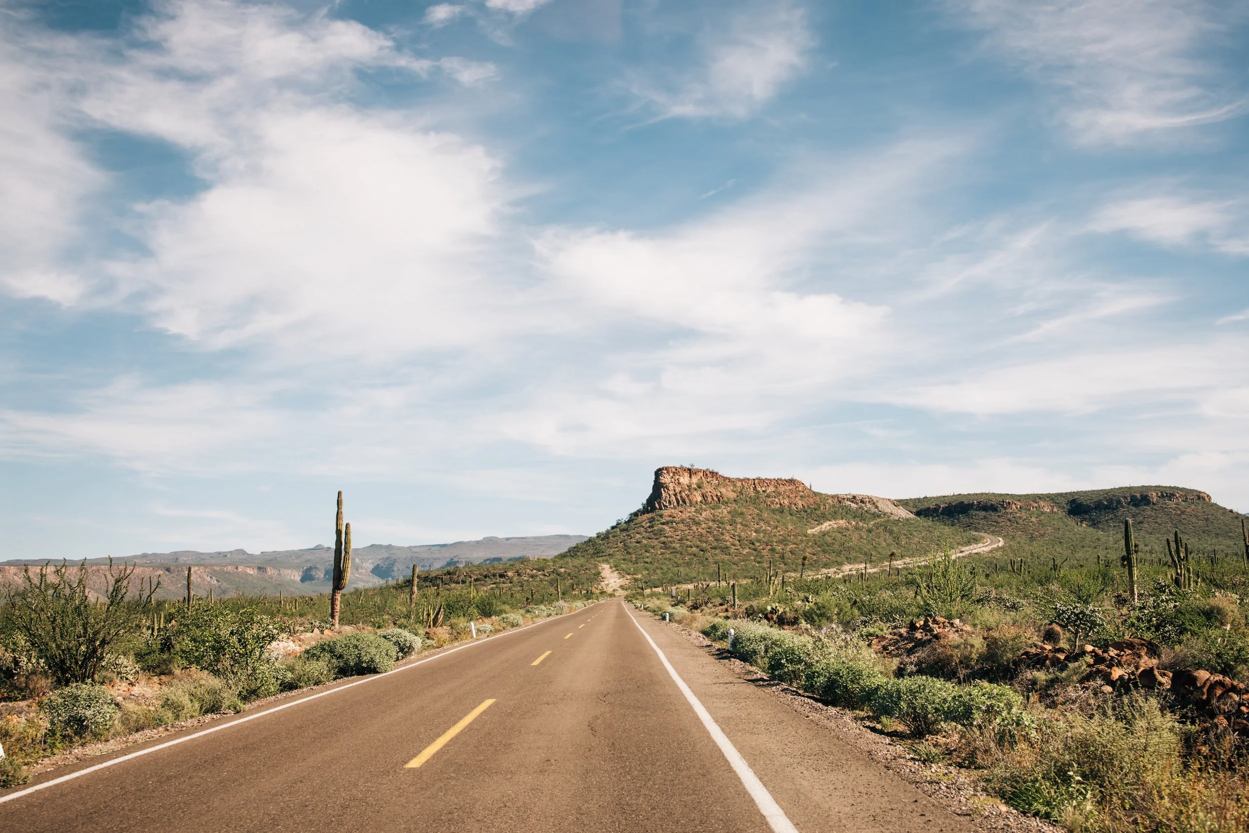 A desert landscape with a two-lane road stretching into the distance, framed by desert shrubs and tall cacti under a partly cloudy sky, with hills and a flat-topped mesa in the background.