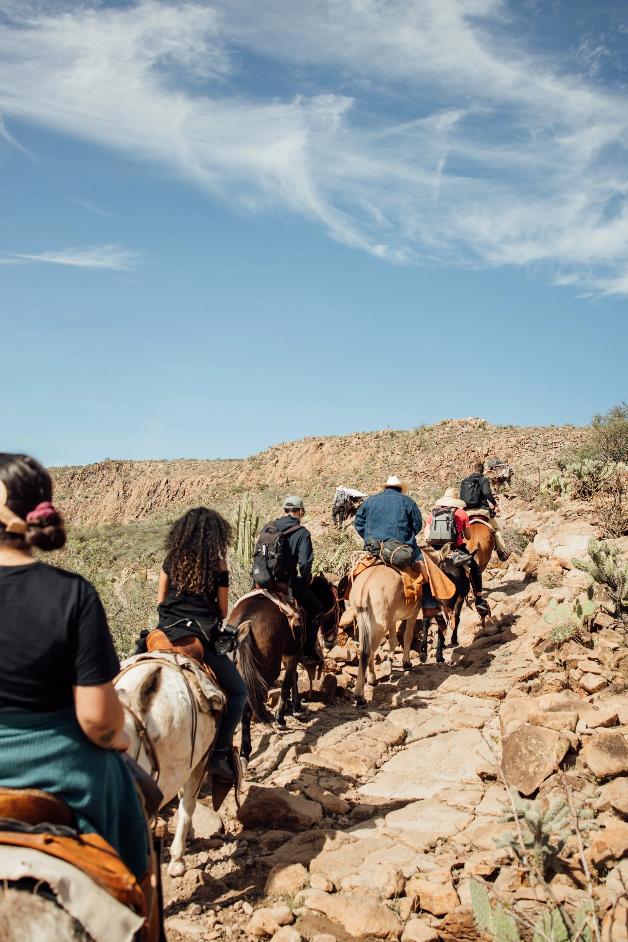 Grupo de viajeros recorriendo senderos a caballo en la Sierra de San Francisco, Mulegé, Baja California Sur.