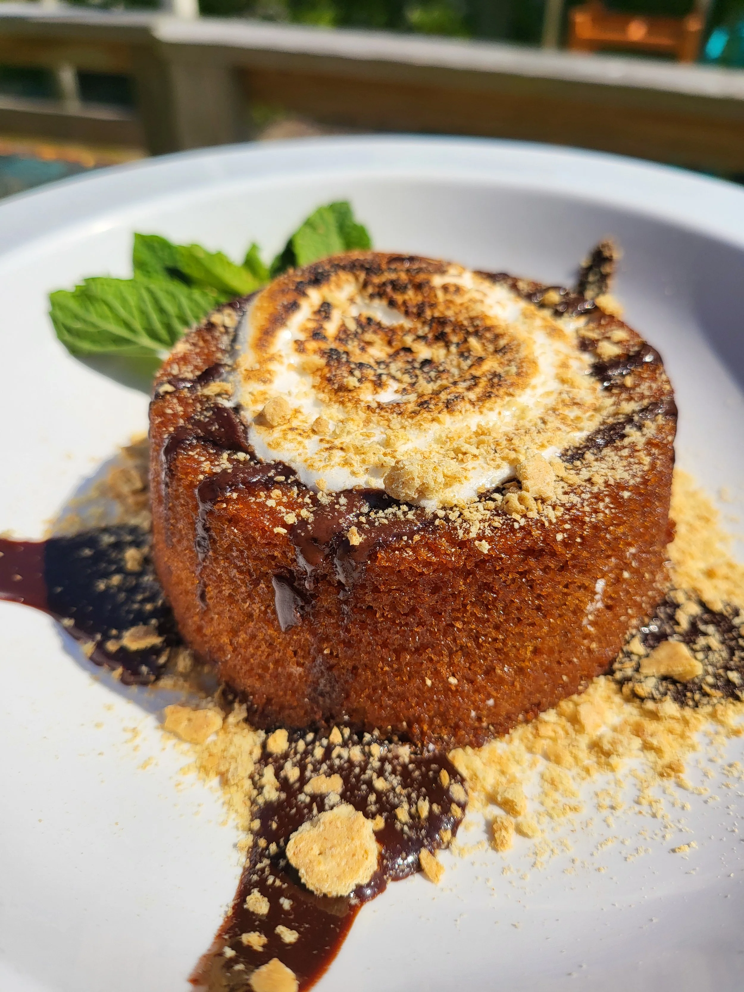 Close-up of a dessert on a white plate, featuring a chocolate-covered cake with ice cream, crumbled toppings, chocolate sauce, and a sprig of mint in the background.