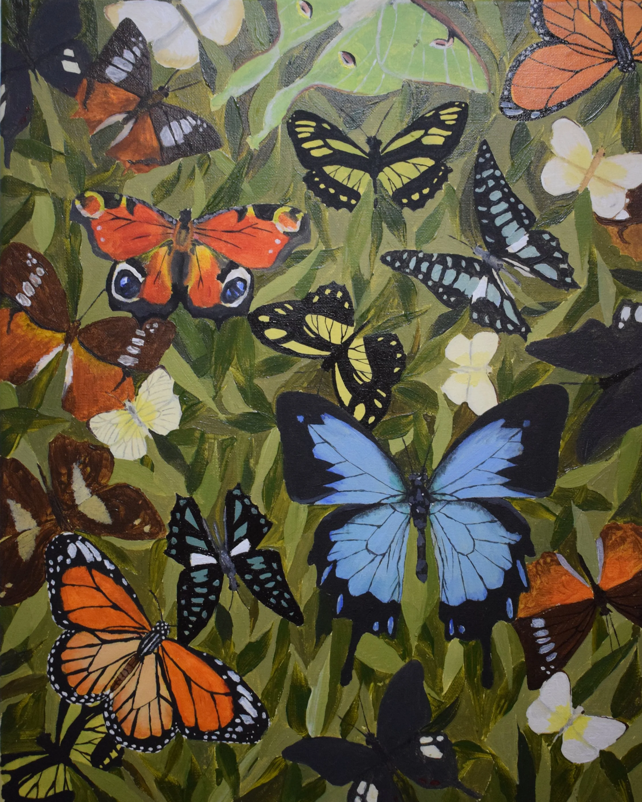Painting of various colorful butterflies on green leafy background.