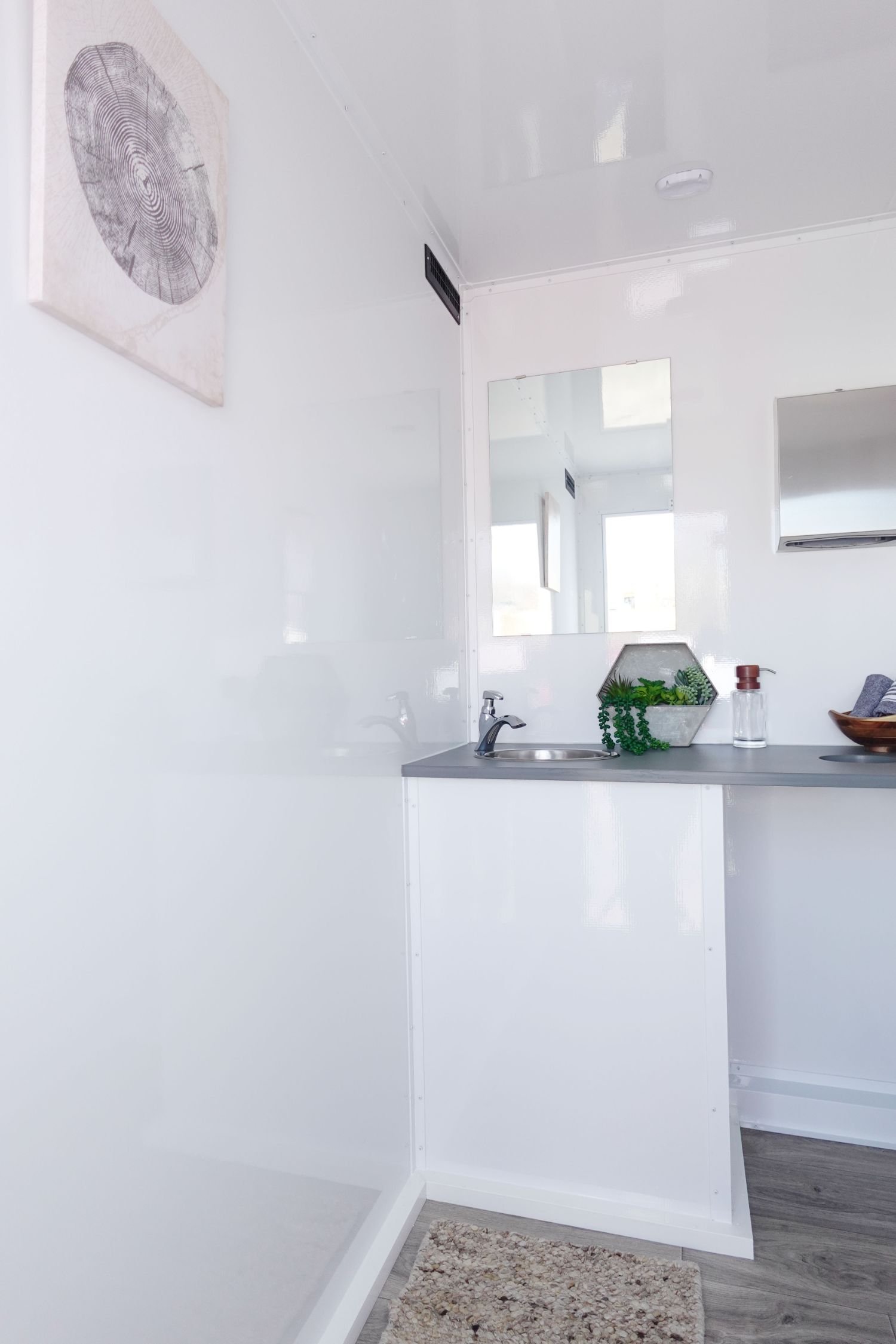 A minimalist kitchen area with a white wall, a small sink, a mirror, indoor plants in a container, a soap dispenser, and a textured rug on grey wood flooring.