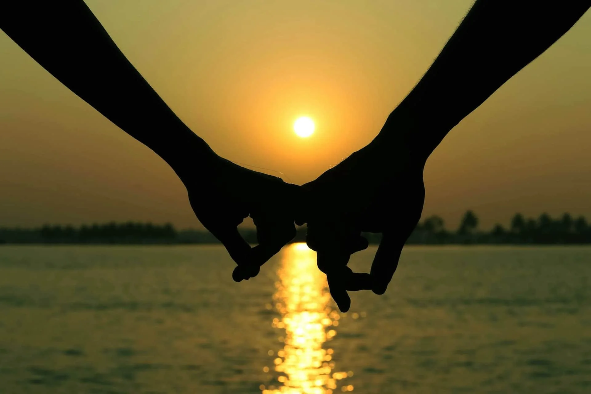 Silhouetted hands holding each other at sunset over water.