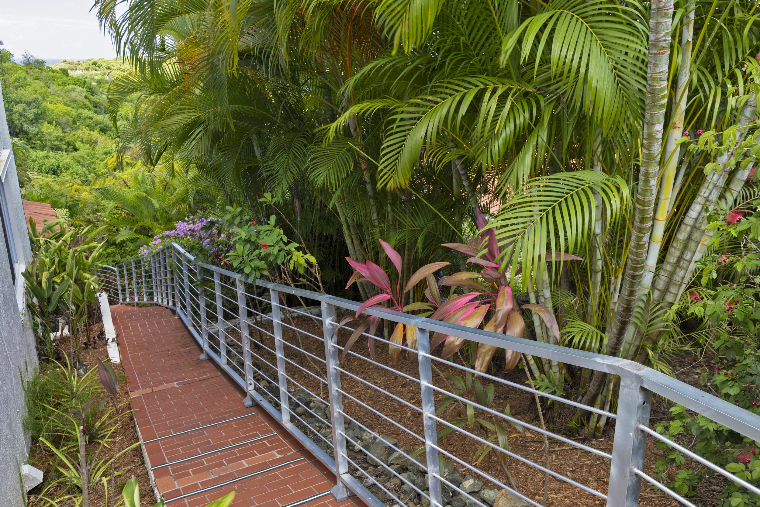 Mandavilla St. John USVI vacation rental A lush, tropical garden with various green plants, trees, and flowers, alongside a brick pathway and a metal railing.