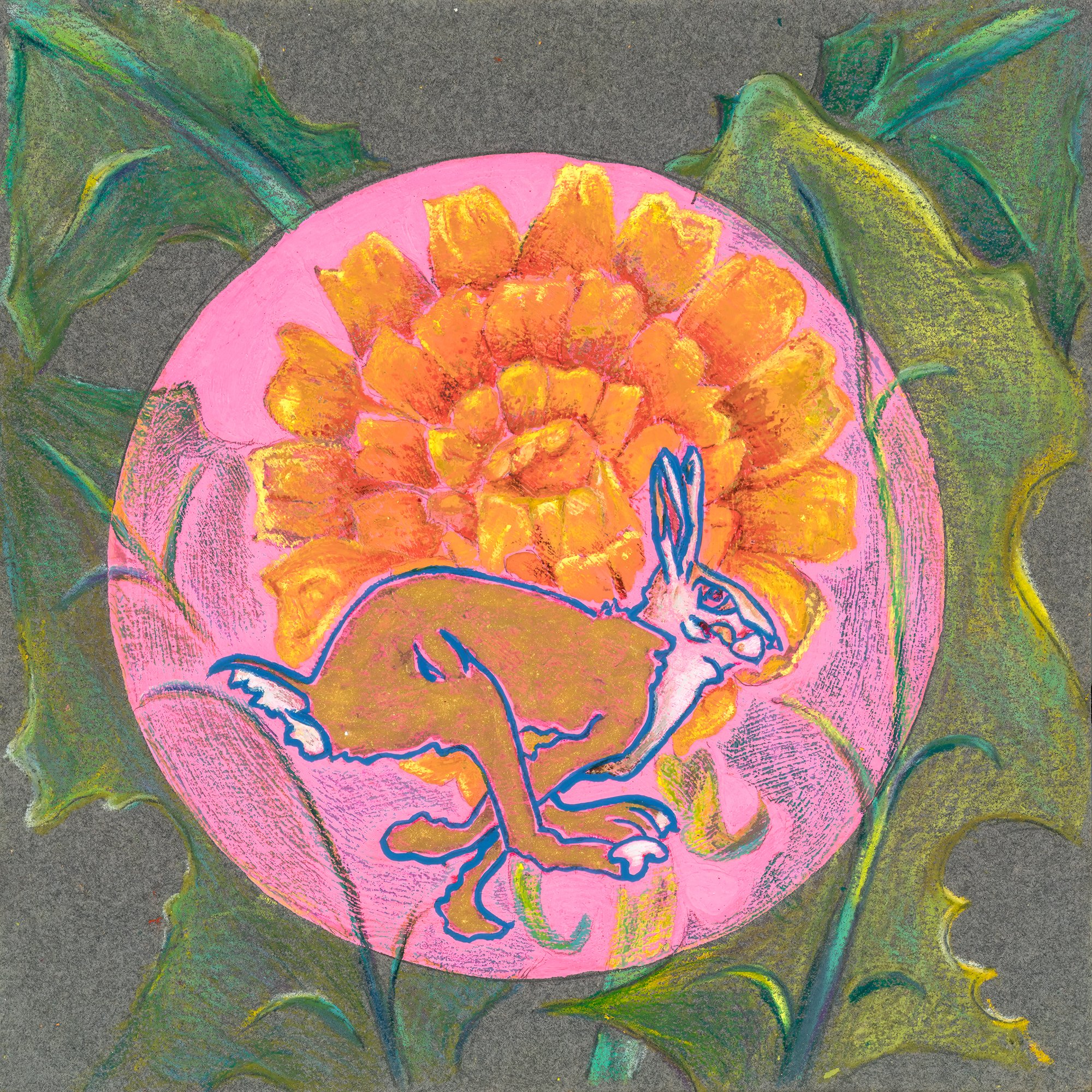 goldhare.jpeg